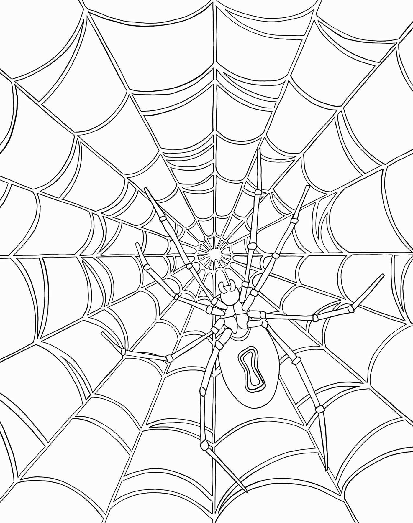 Bugs: Coloring Book