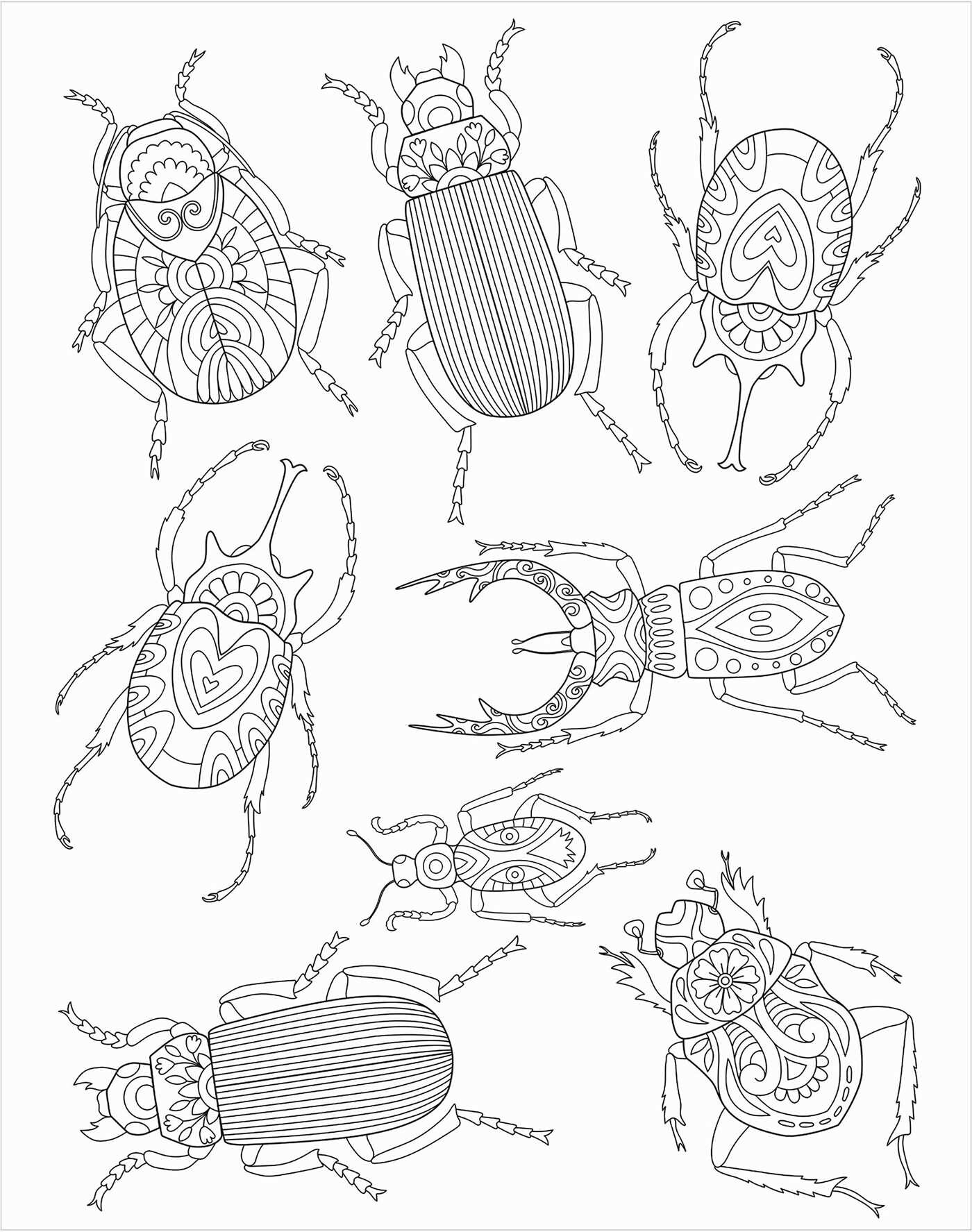 Bugs: Coloring Book