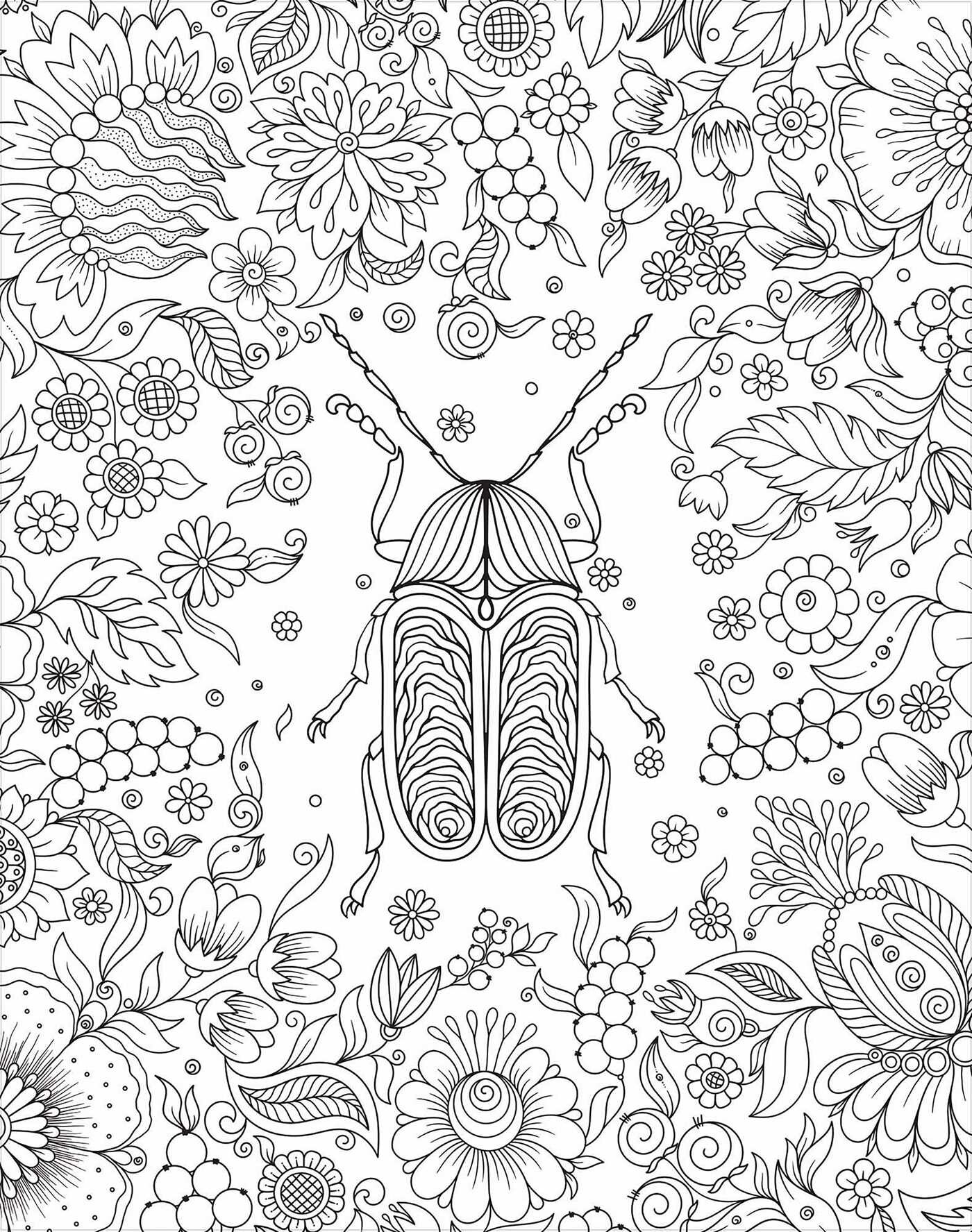 Bugs: Coloring Book