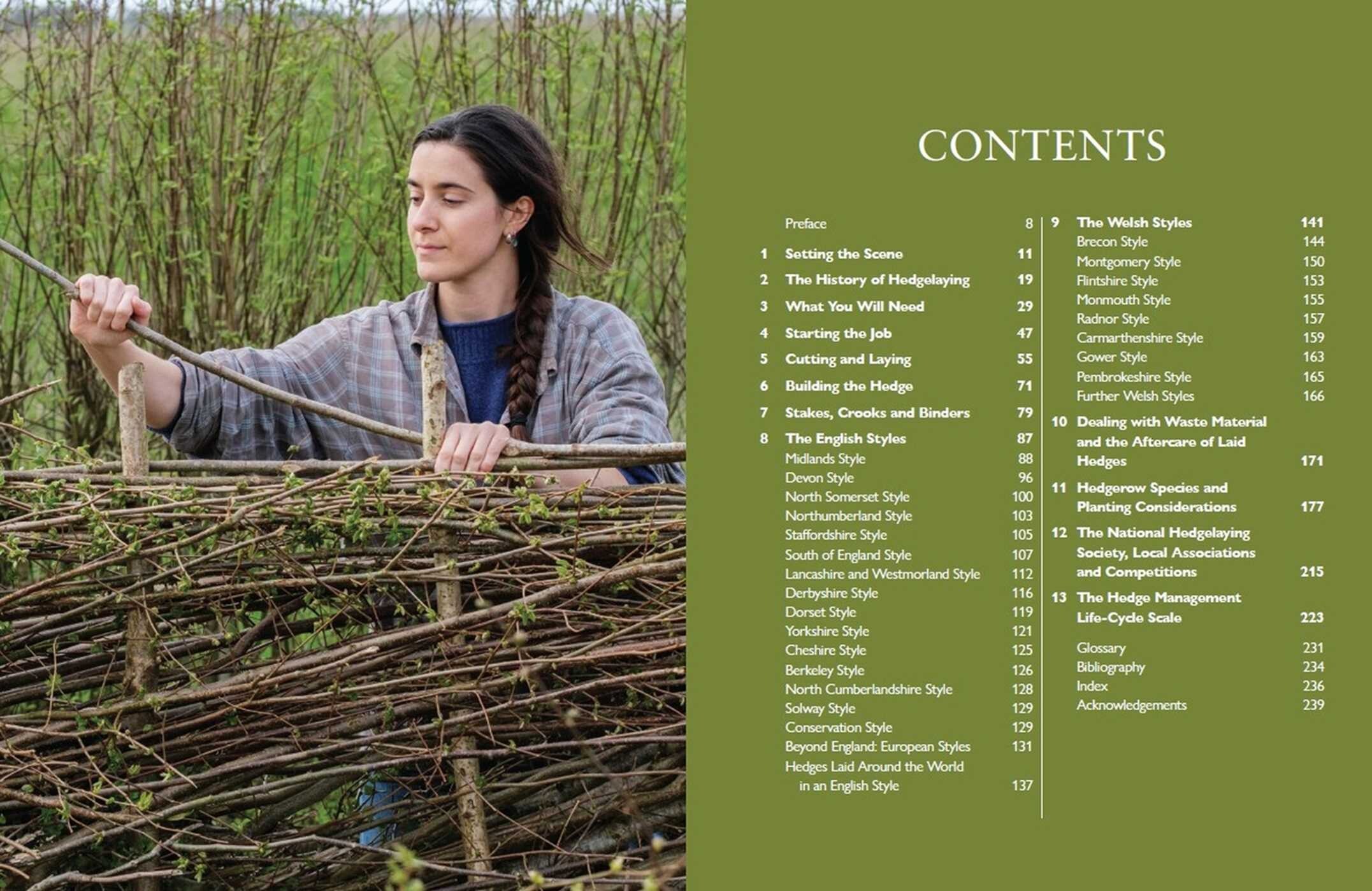 Hedgelaying