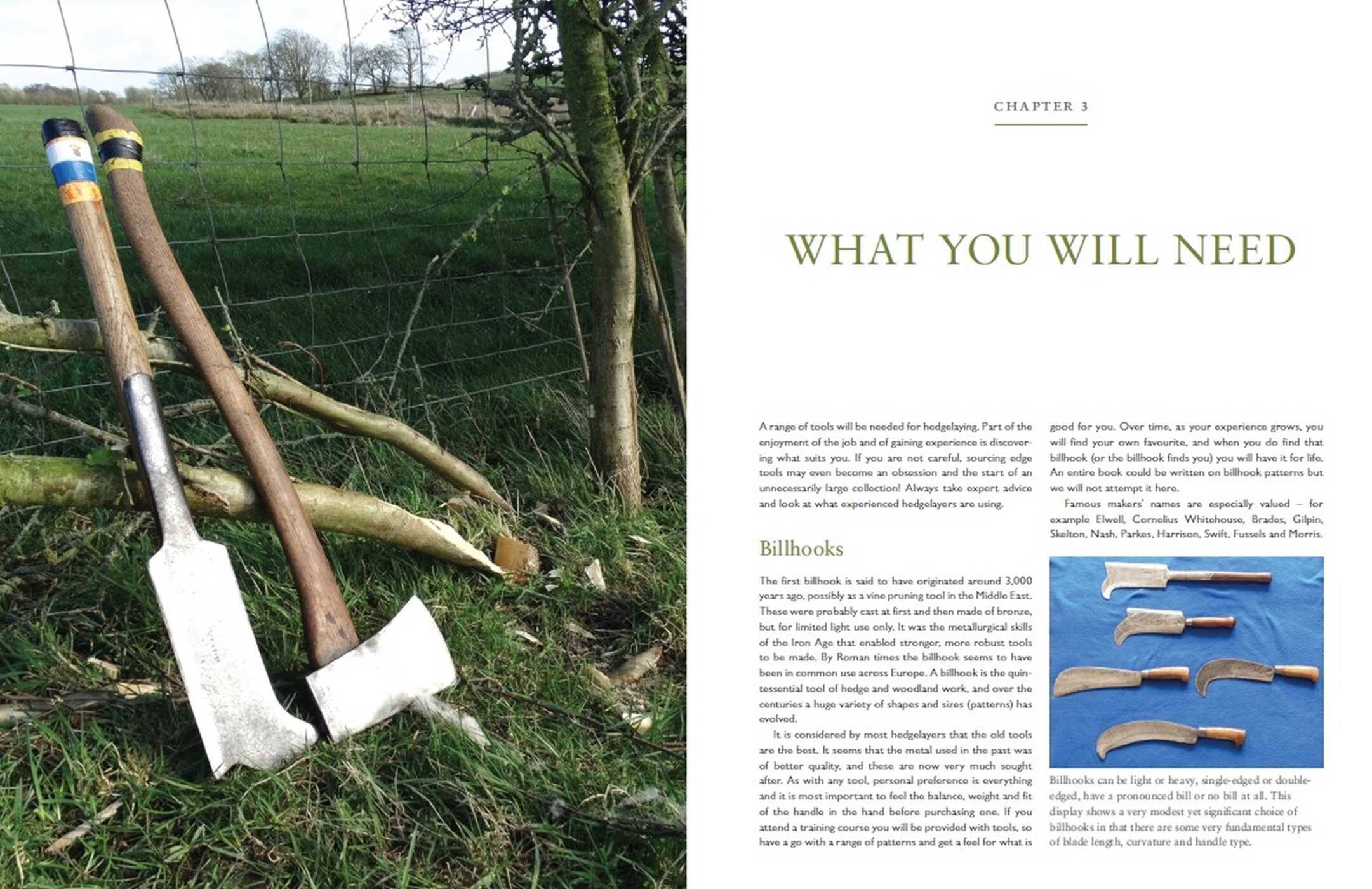 Hedgelaying