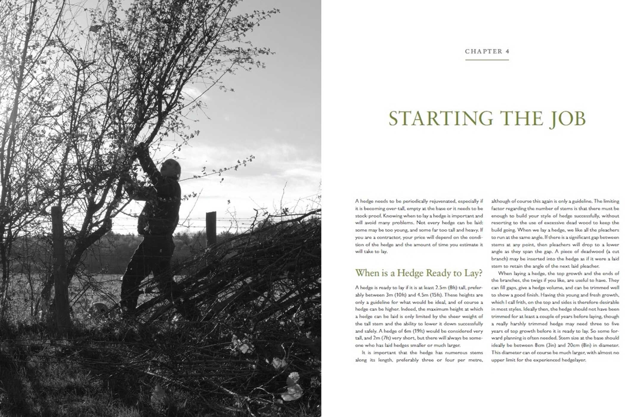 Hedgelaying
