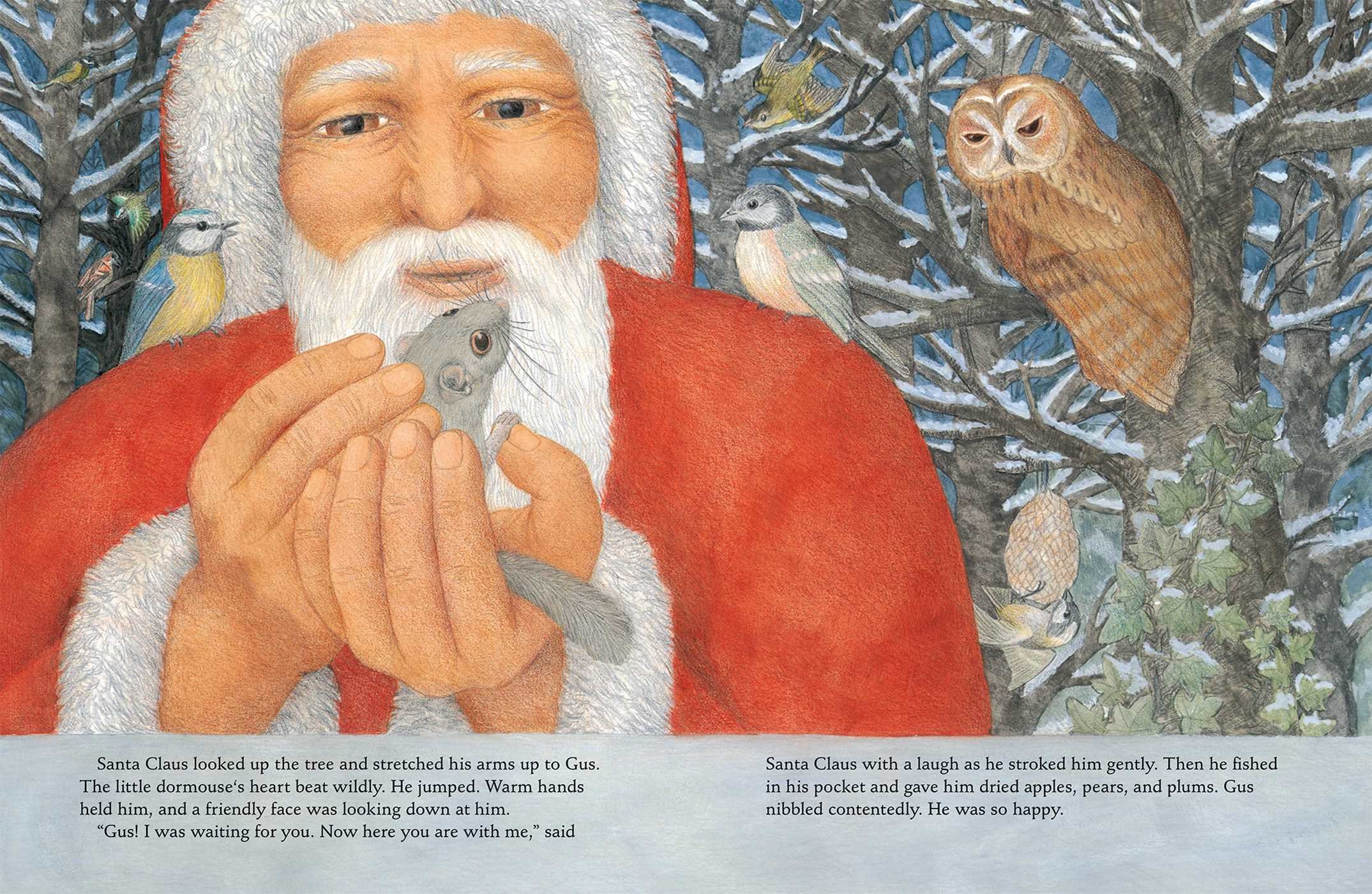 Santa Claus and the Dormouse Book by Eleonore Schmid Official