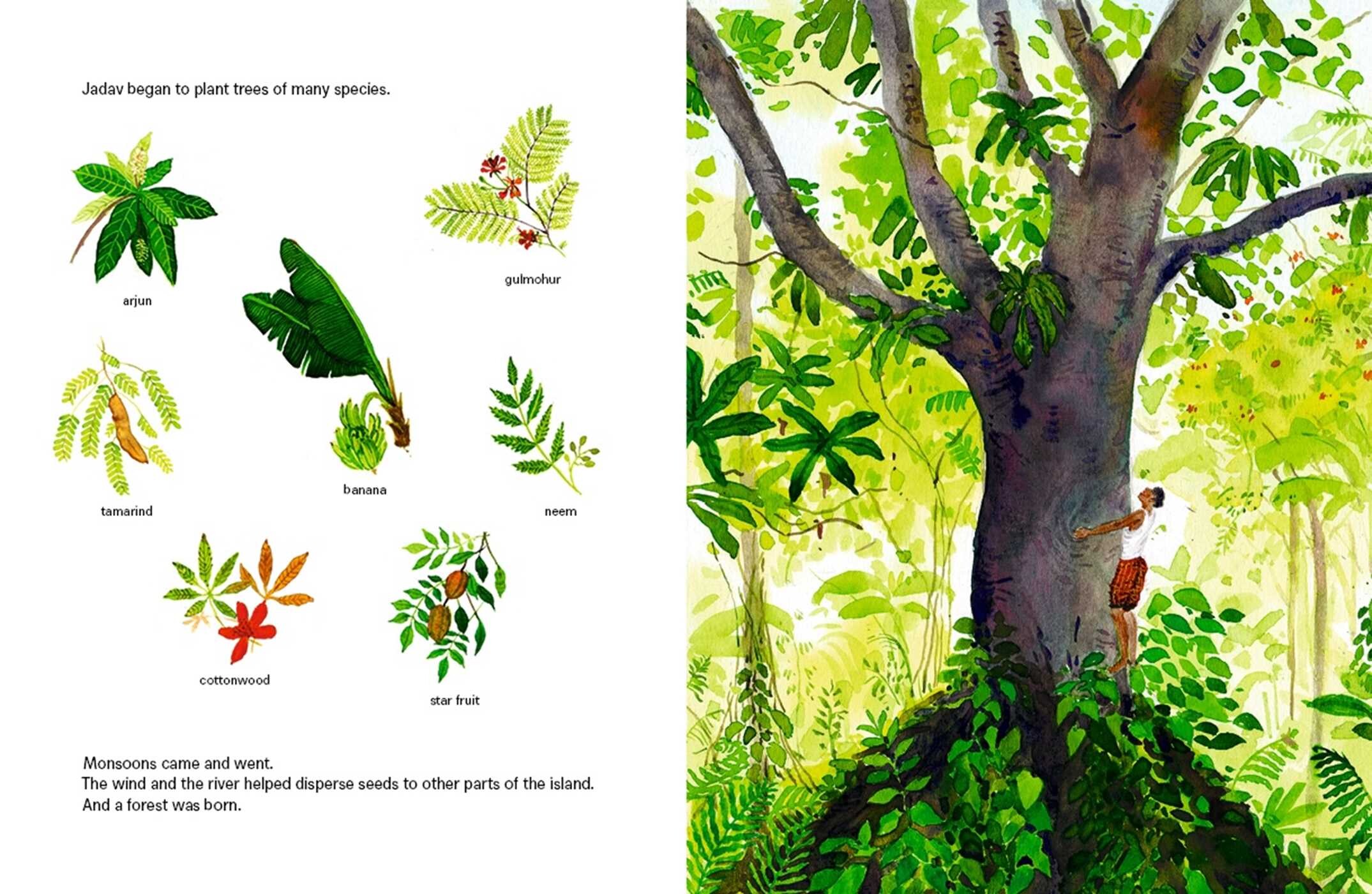 Forest Keeper–The True Story of Jadav Payeng