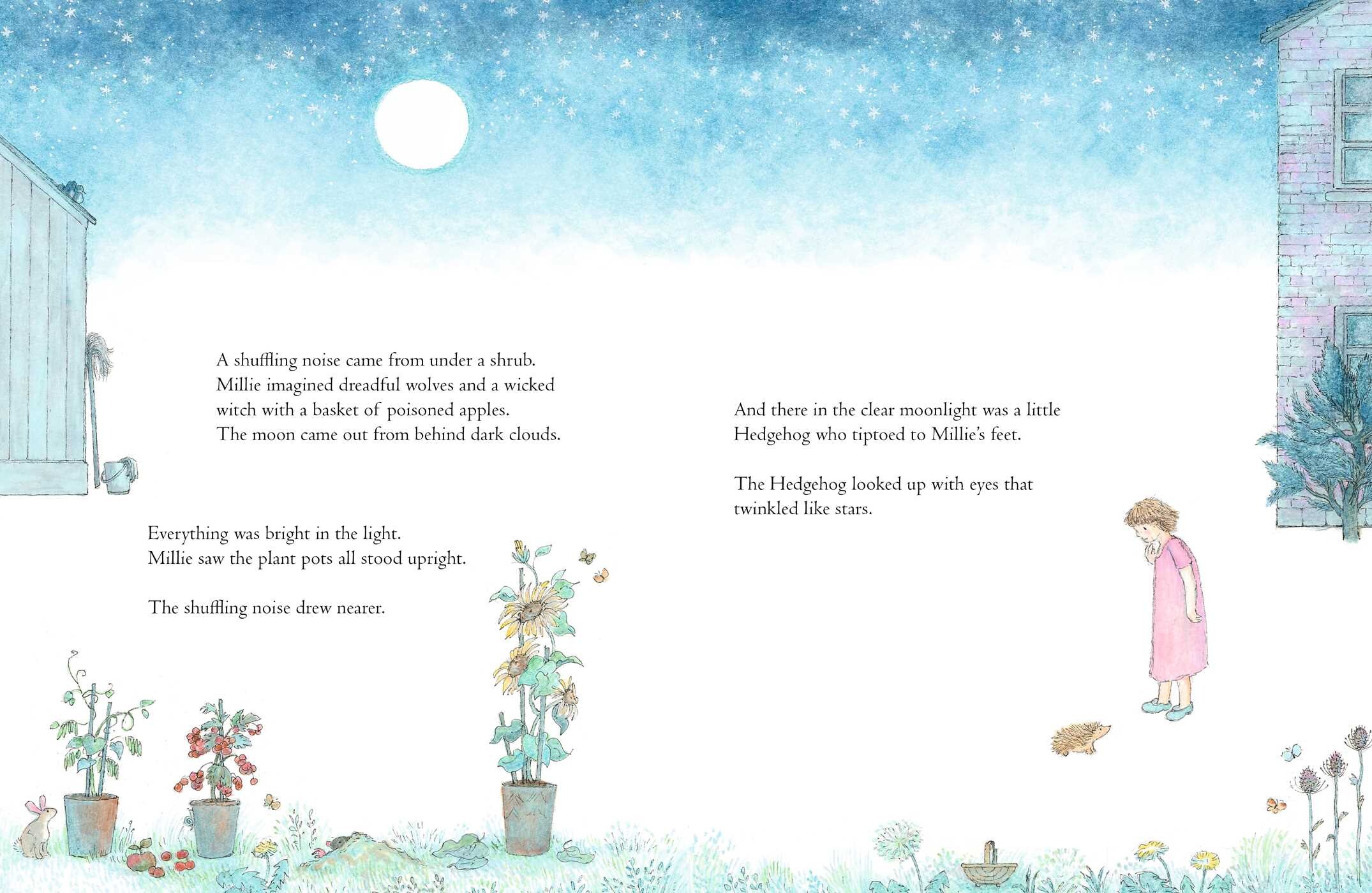 Millie and the Midnight Hedgehog