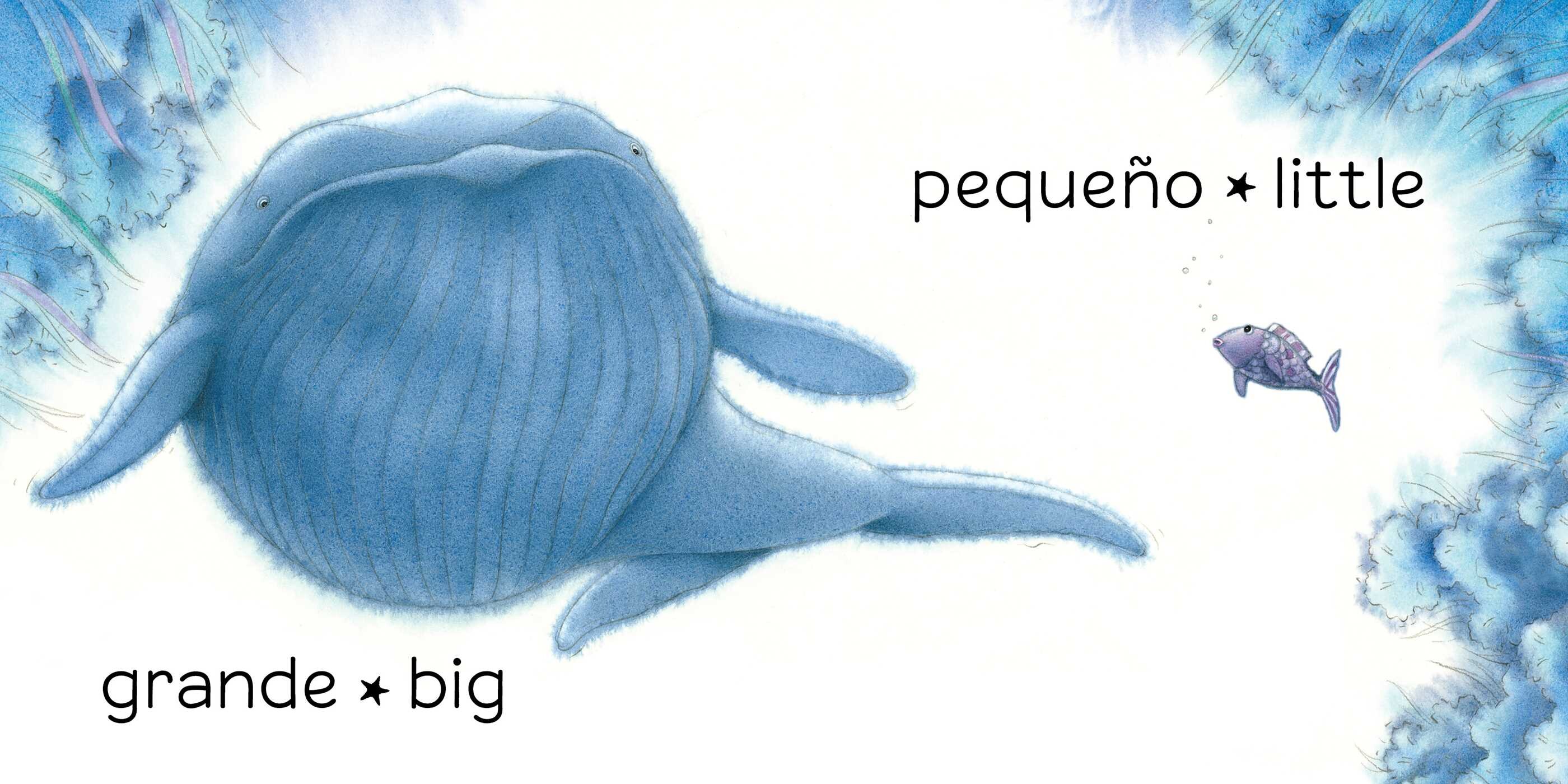 Pez Arcoíris: Opuestos / The Rainbow Fish: Opposites
