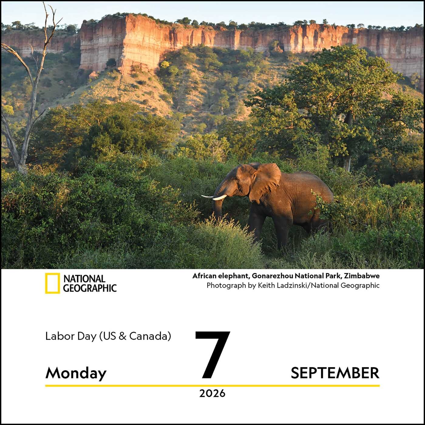 National Geographic: Nature 2026 Day-to-Day Calendar - Book Summary ...