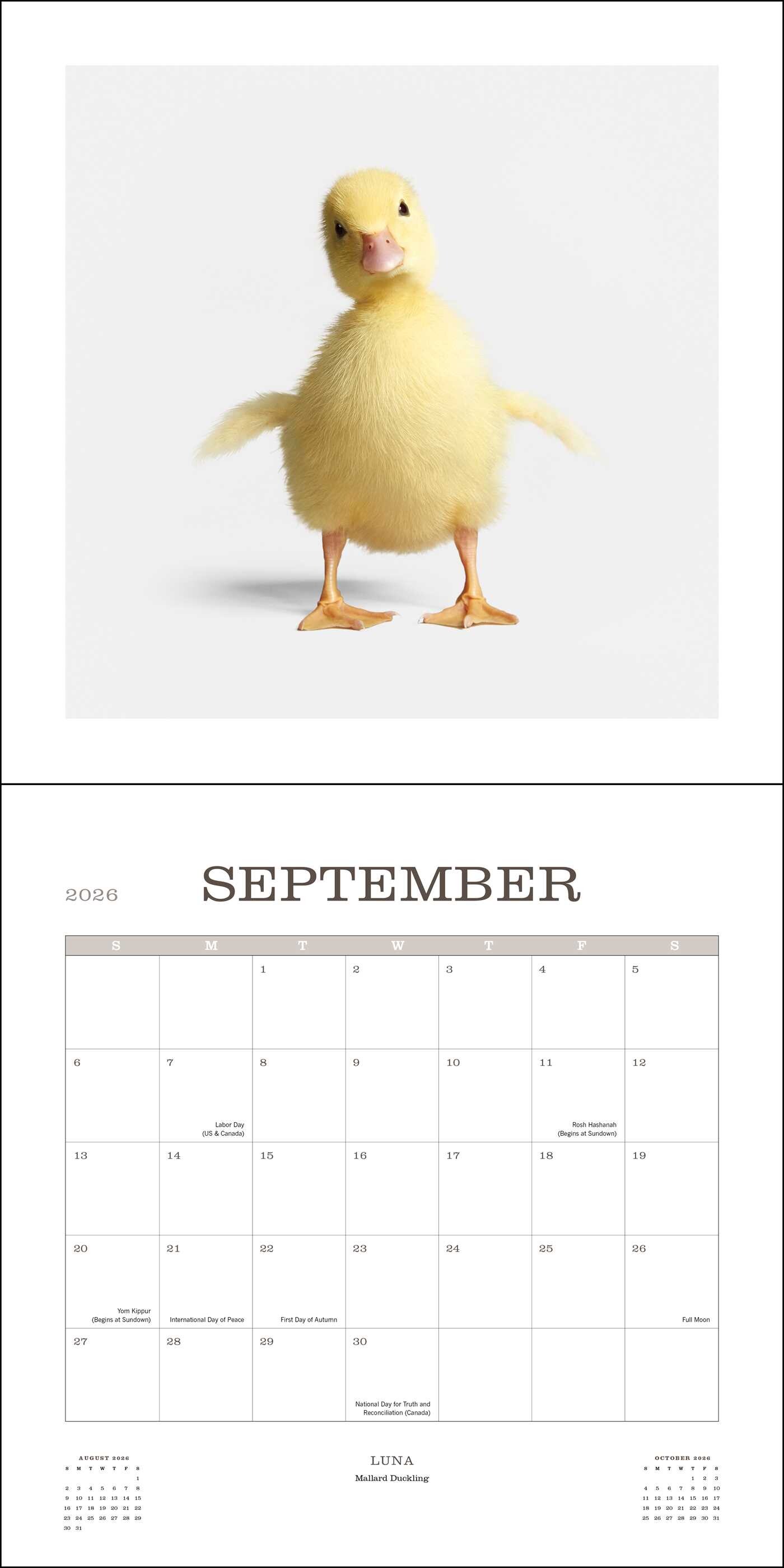 Farm Life 2026 Wall Calendar Book Summary & Video Official