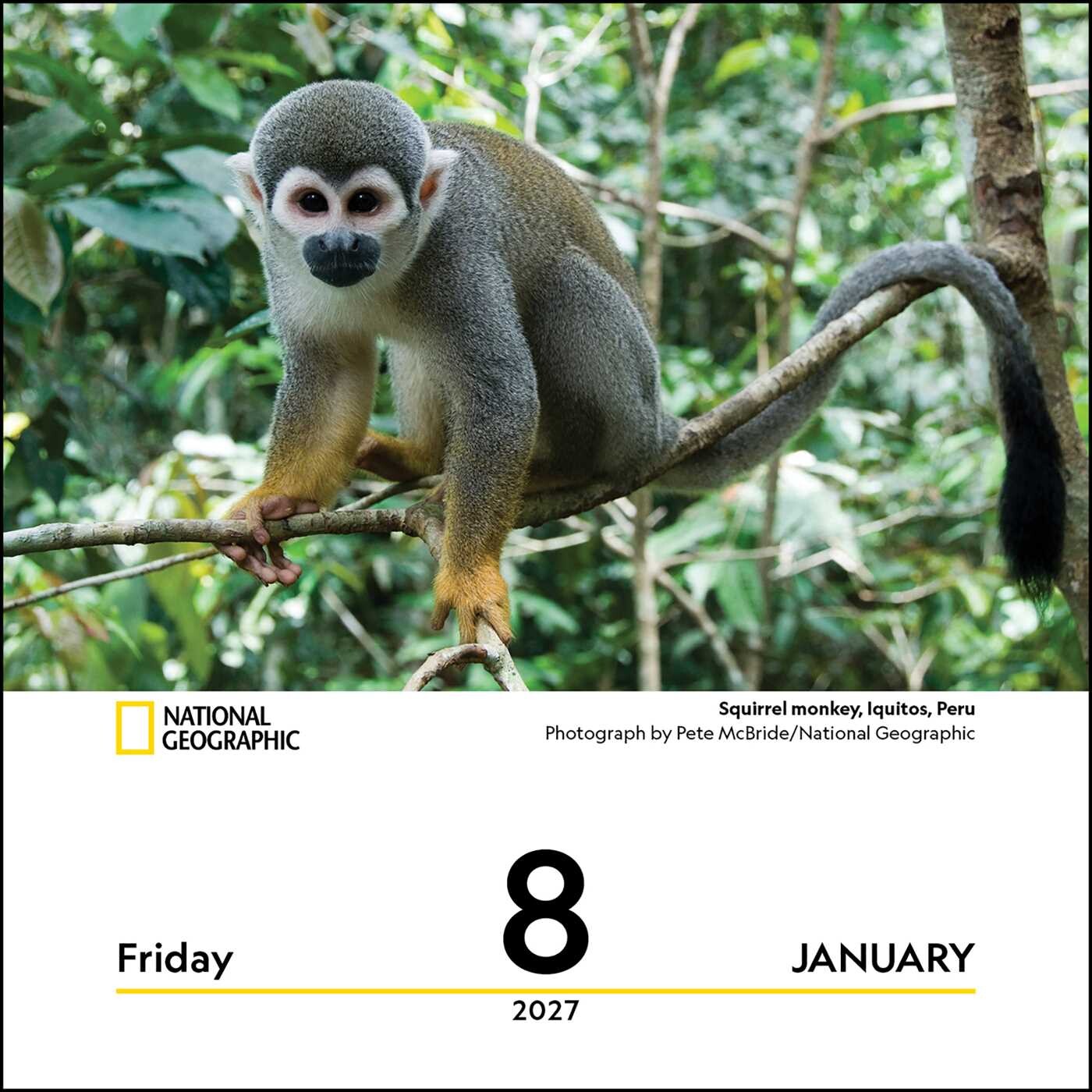 National Geographic: Nature 2027 DTD Calendar