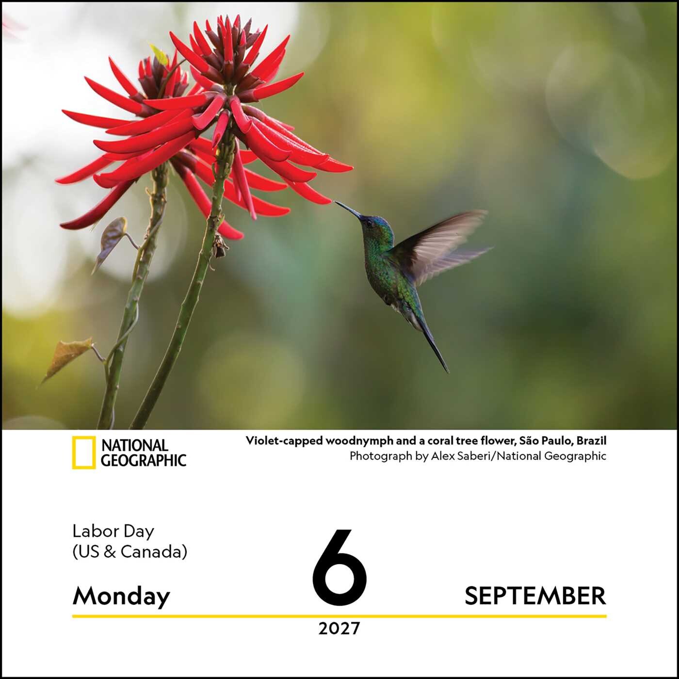 National Geographic: Nature 2027 DTD Calendar