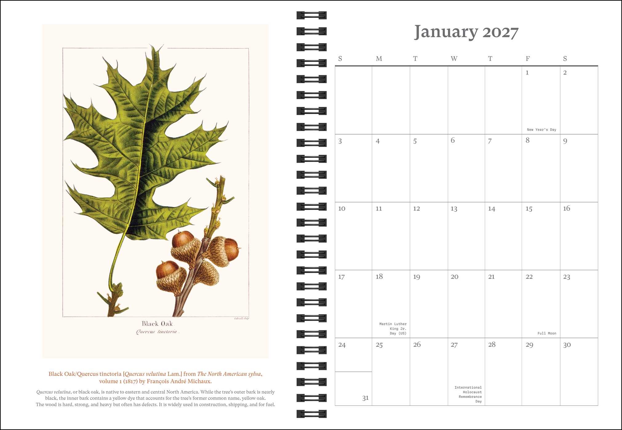 New York Botanical Garden 2027 Planner