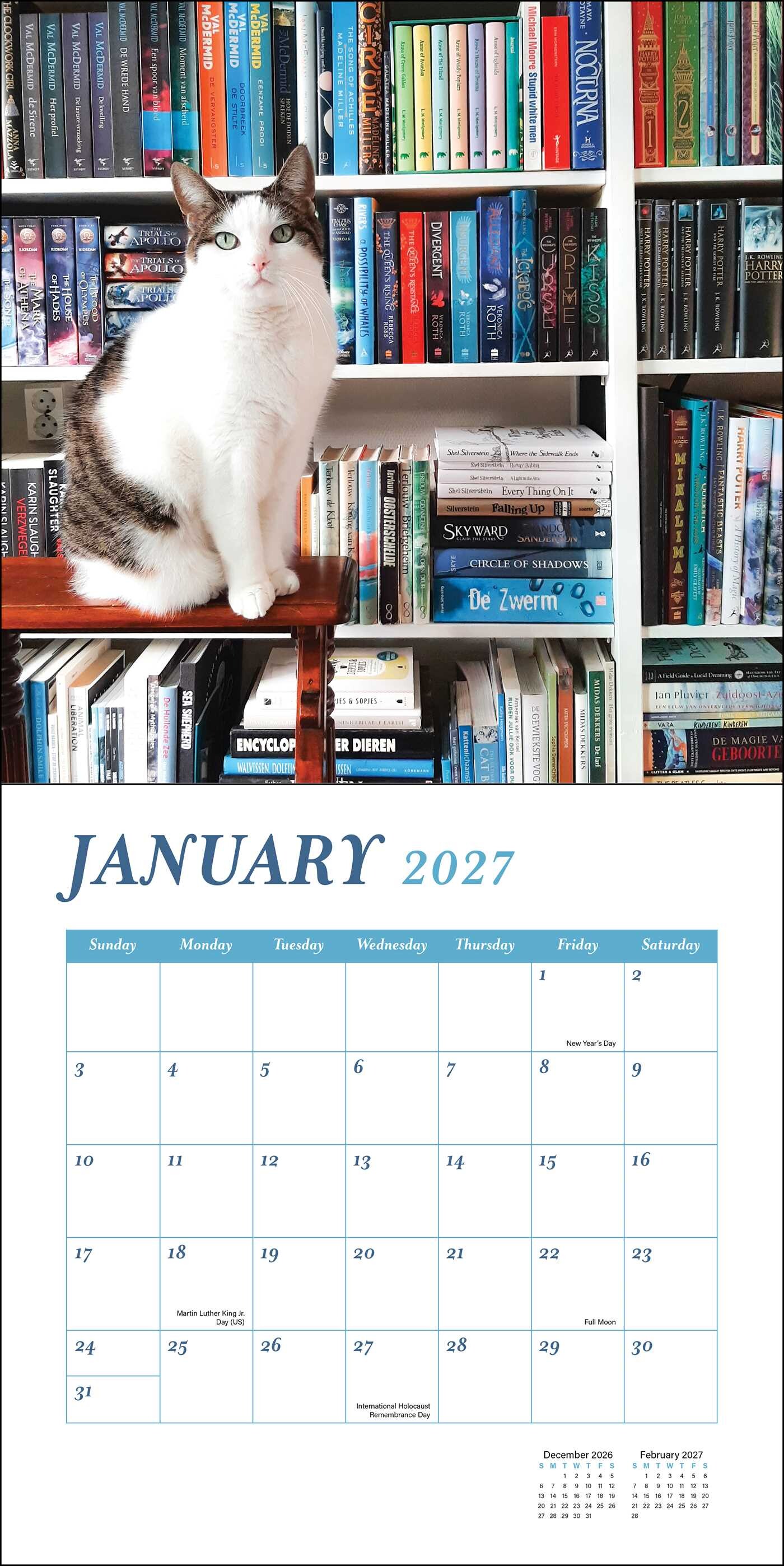 Cats & Books 2027 Wall Calendar
