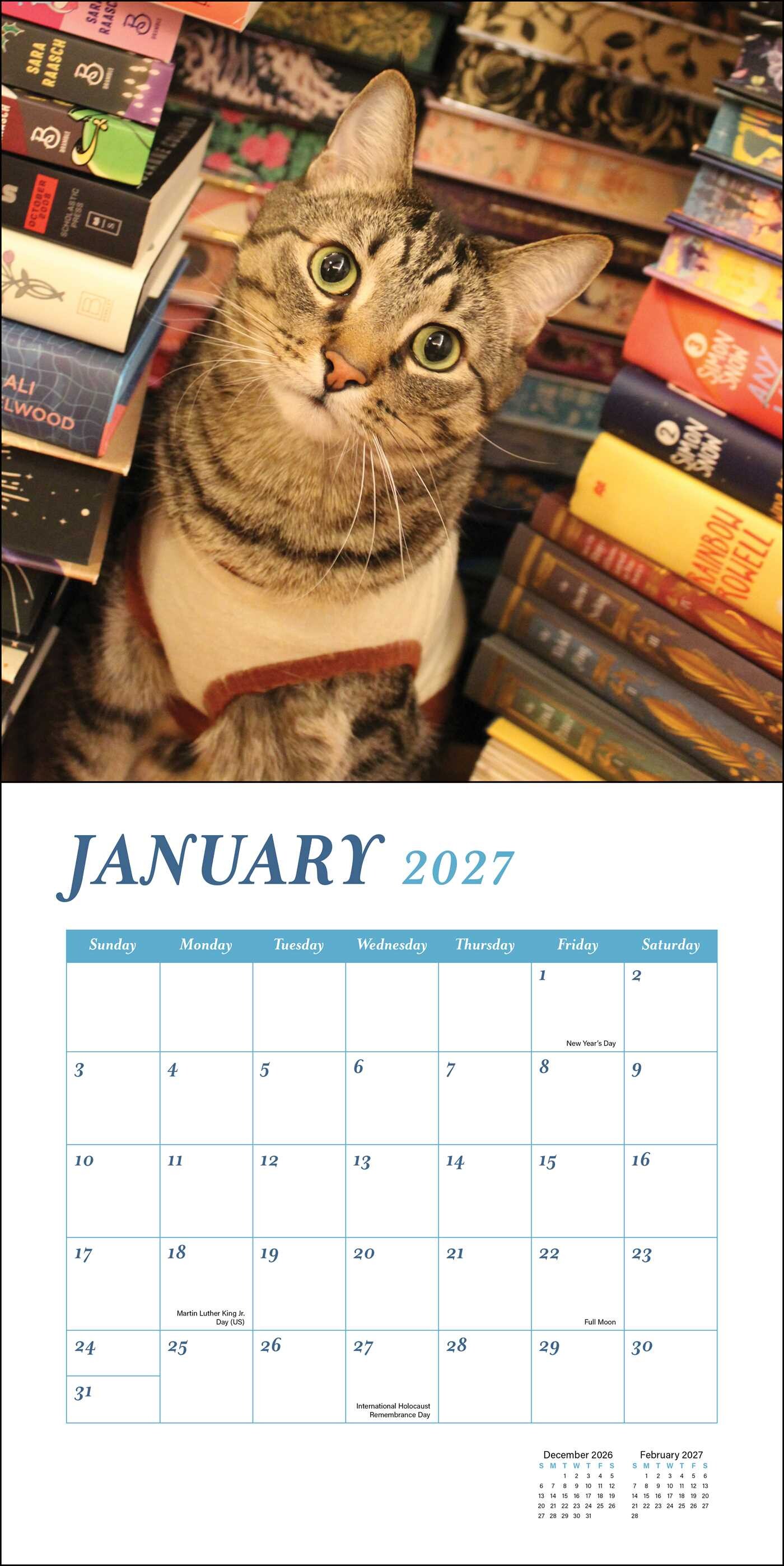 Cats & Books 2027 Wall Calendar
