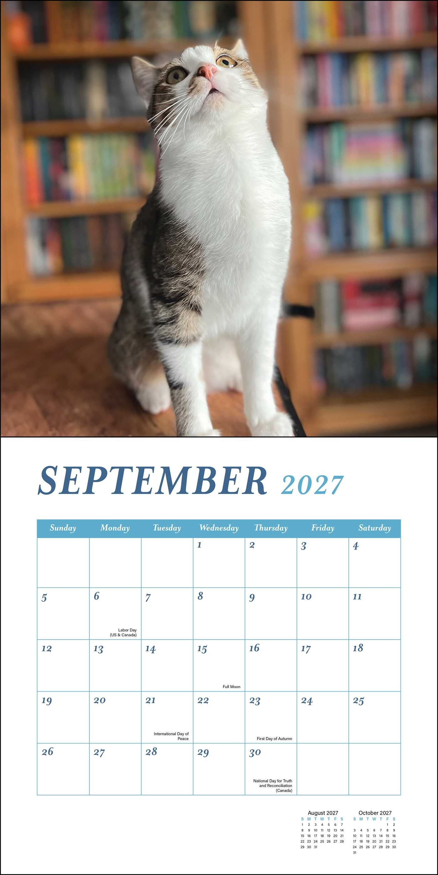Cats & Books 2027 Wall Calendar