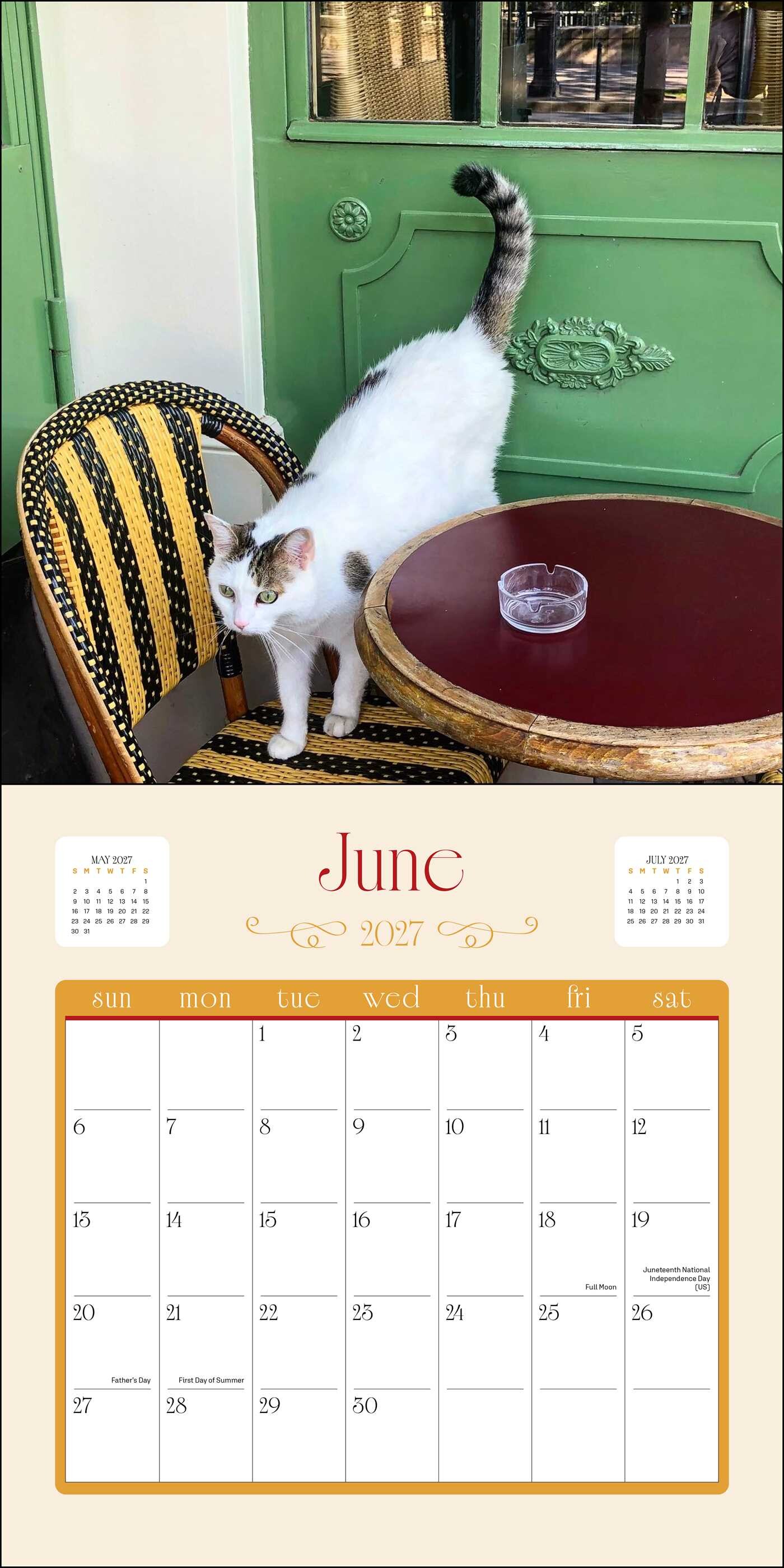 Cats in Paris 2027 Wall Calendar