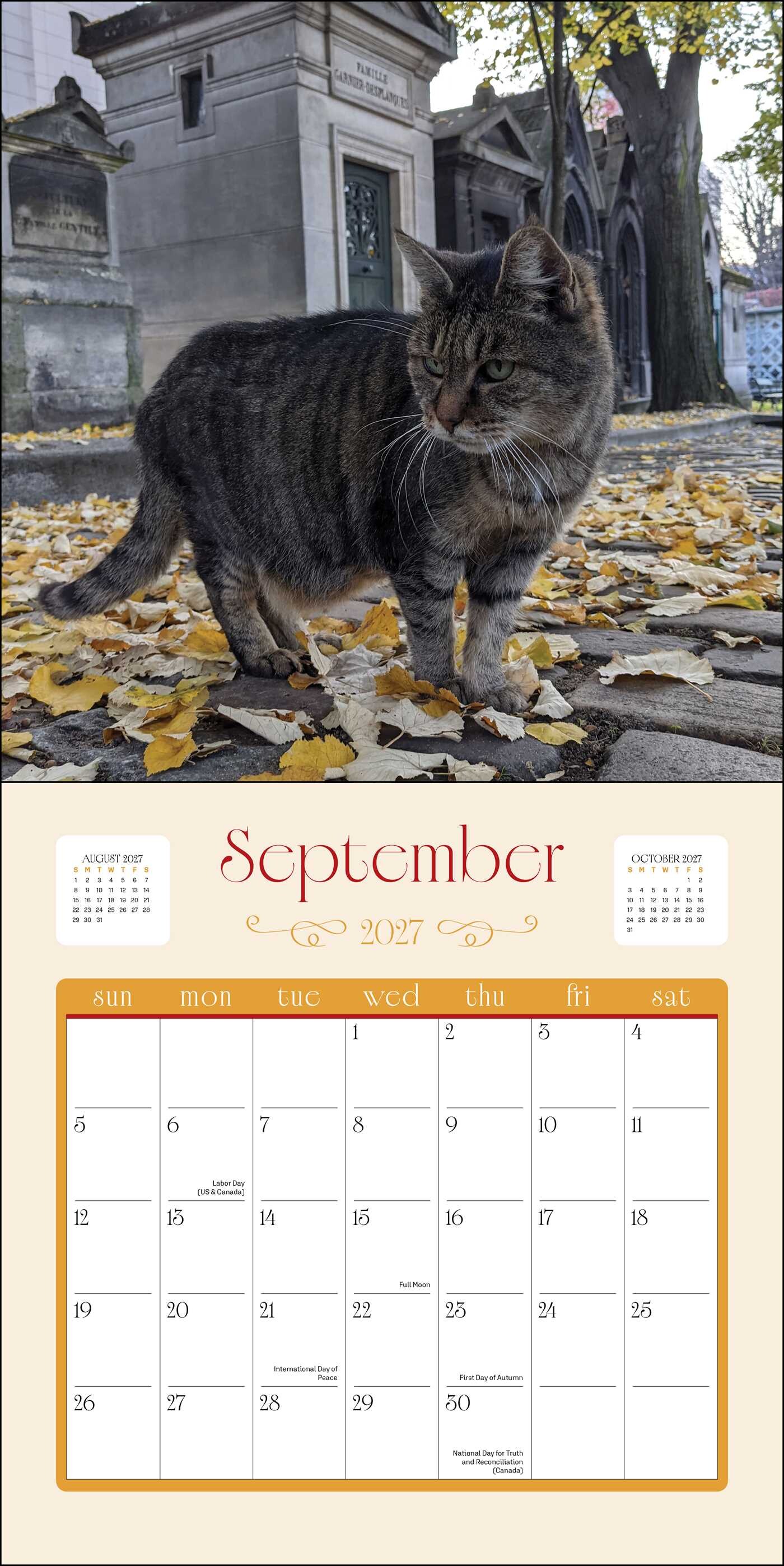 Cats in Paris 2027 Wall Calendar
