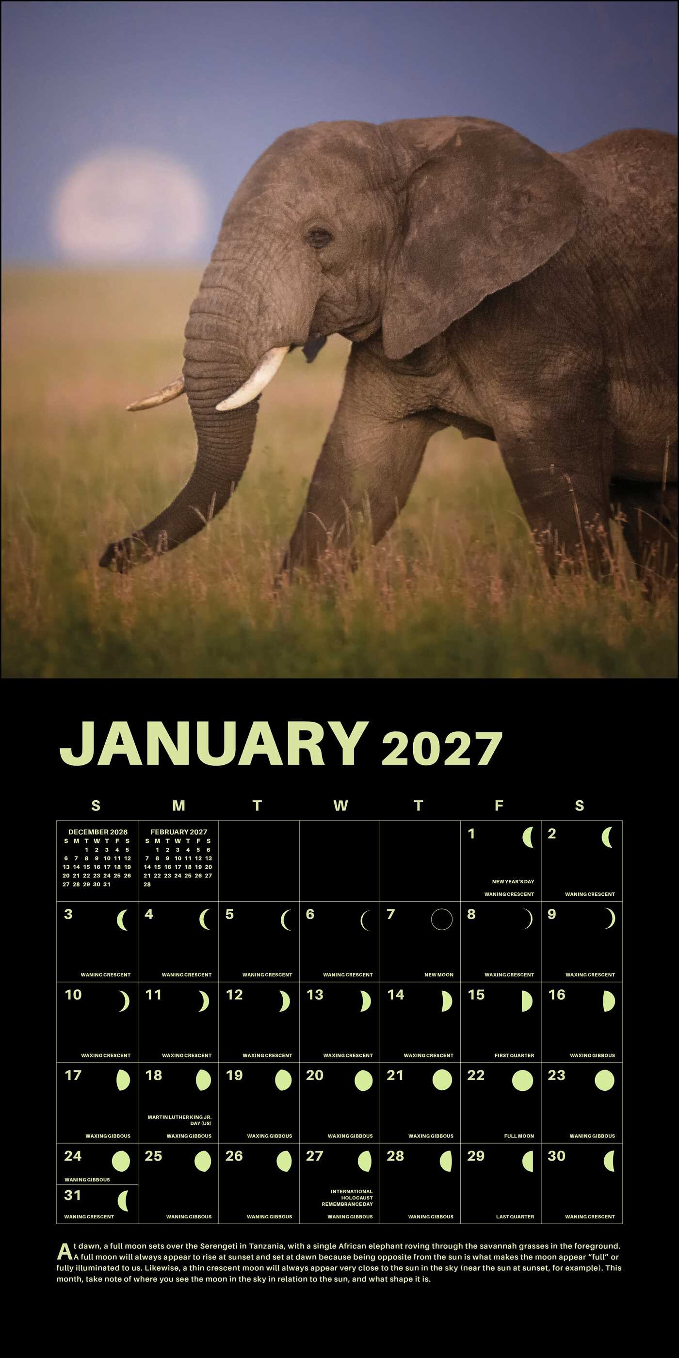 Lunar 2027 Wall Calendar