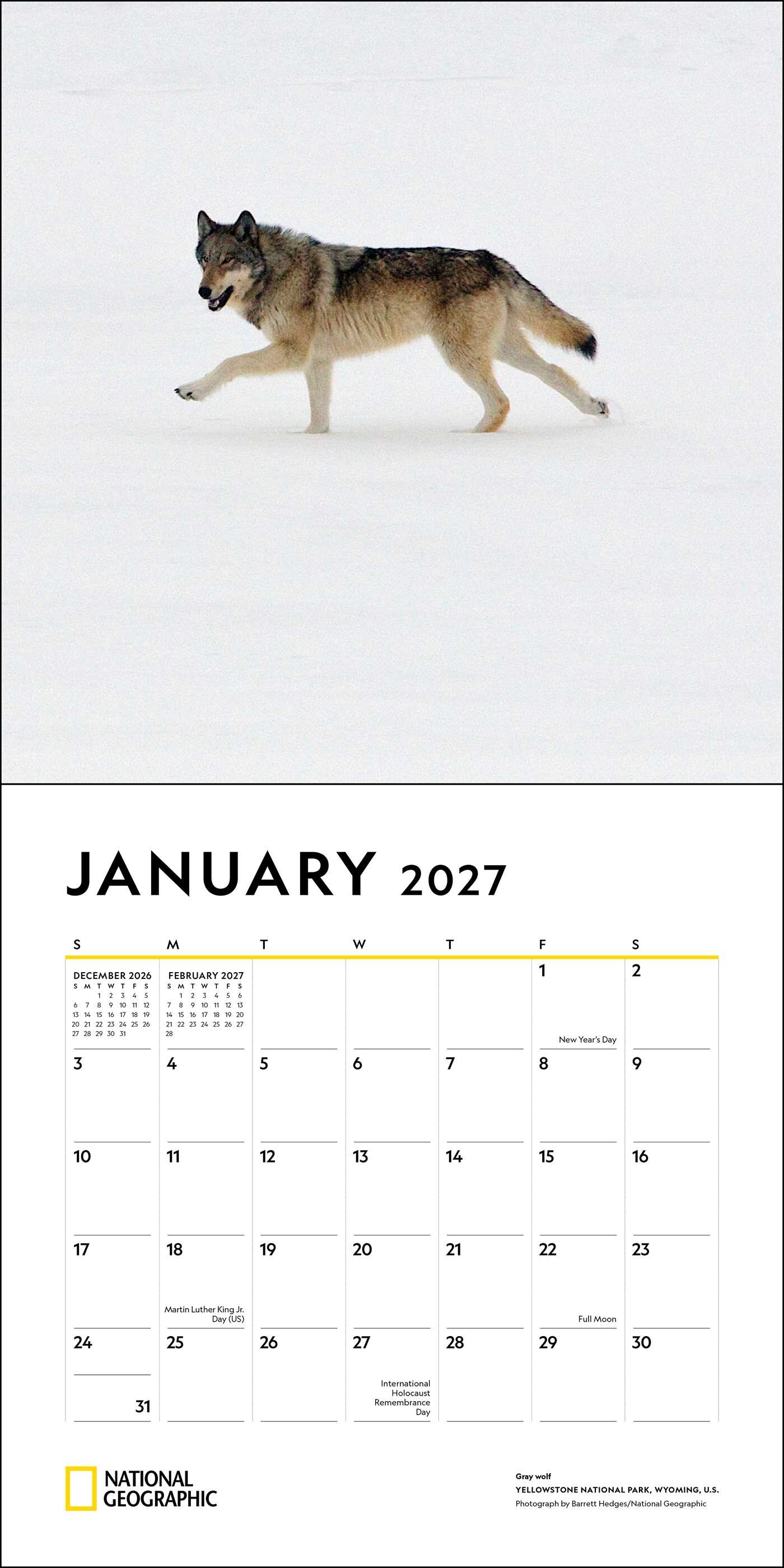National Geographic: Wolves 2027 Wall Calendar