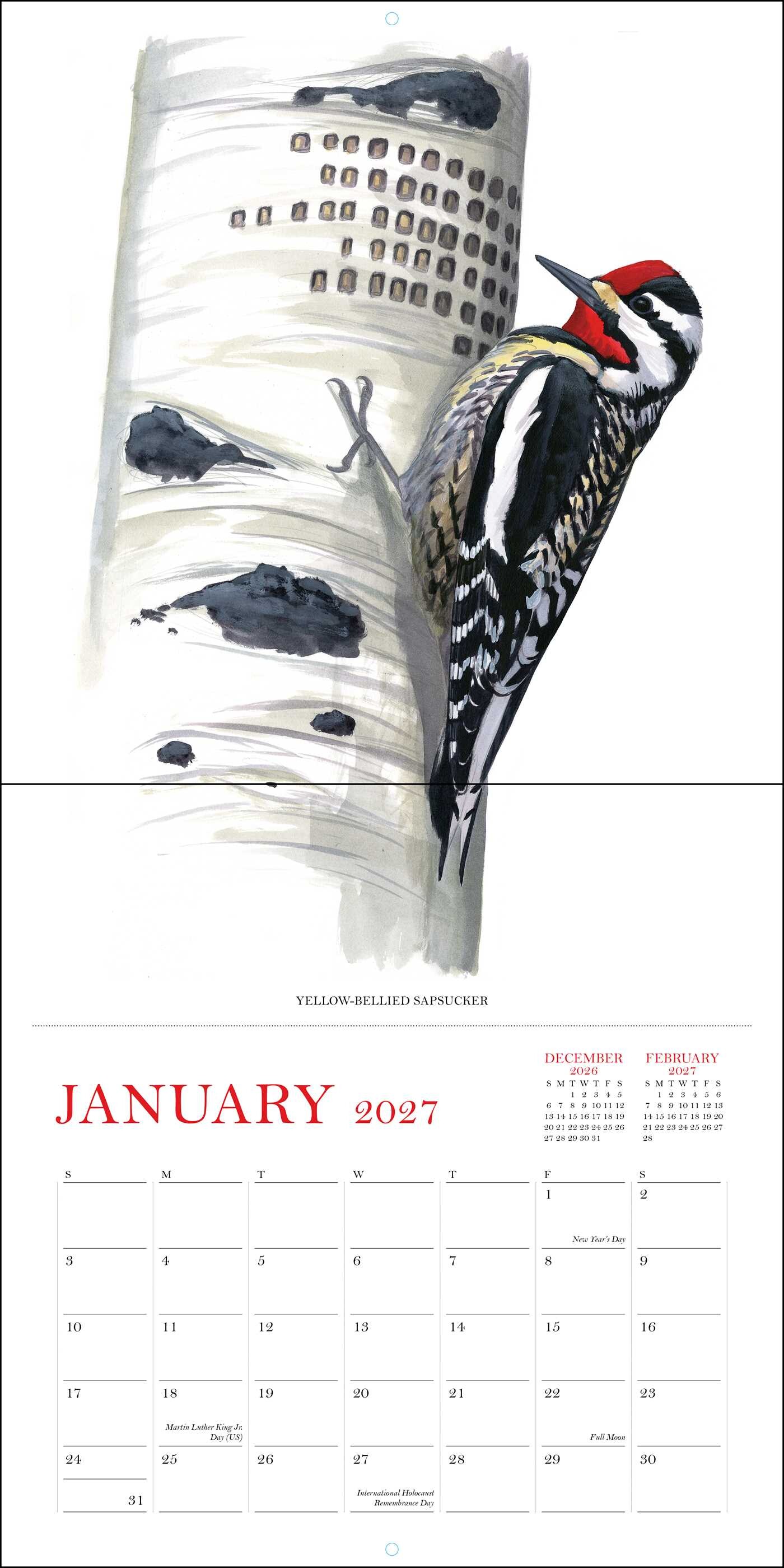 Sibley's Birds of America 2027 Wall Calendar