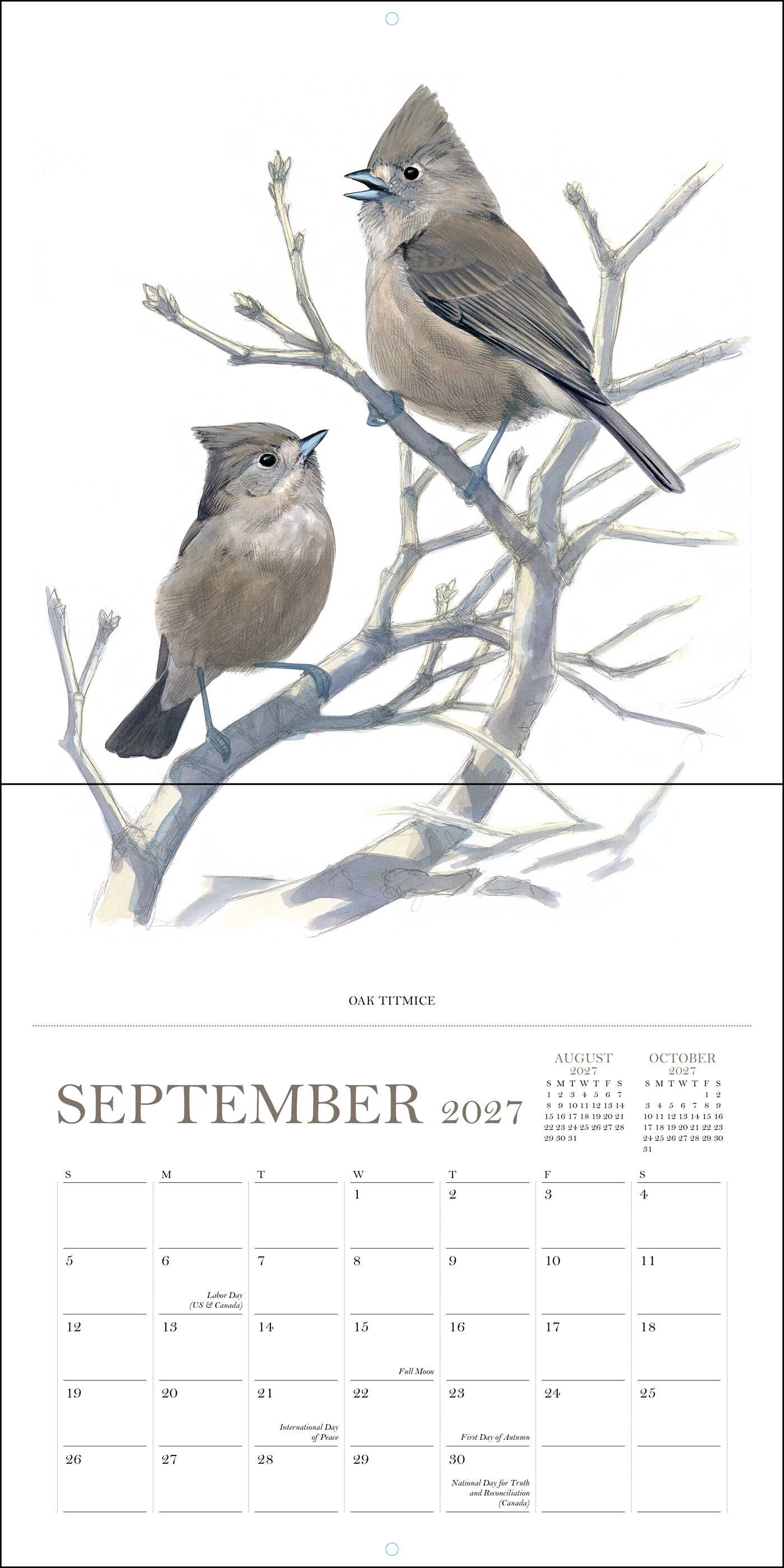 Sibley's Birds of America 2027 Wall Calendar