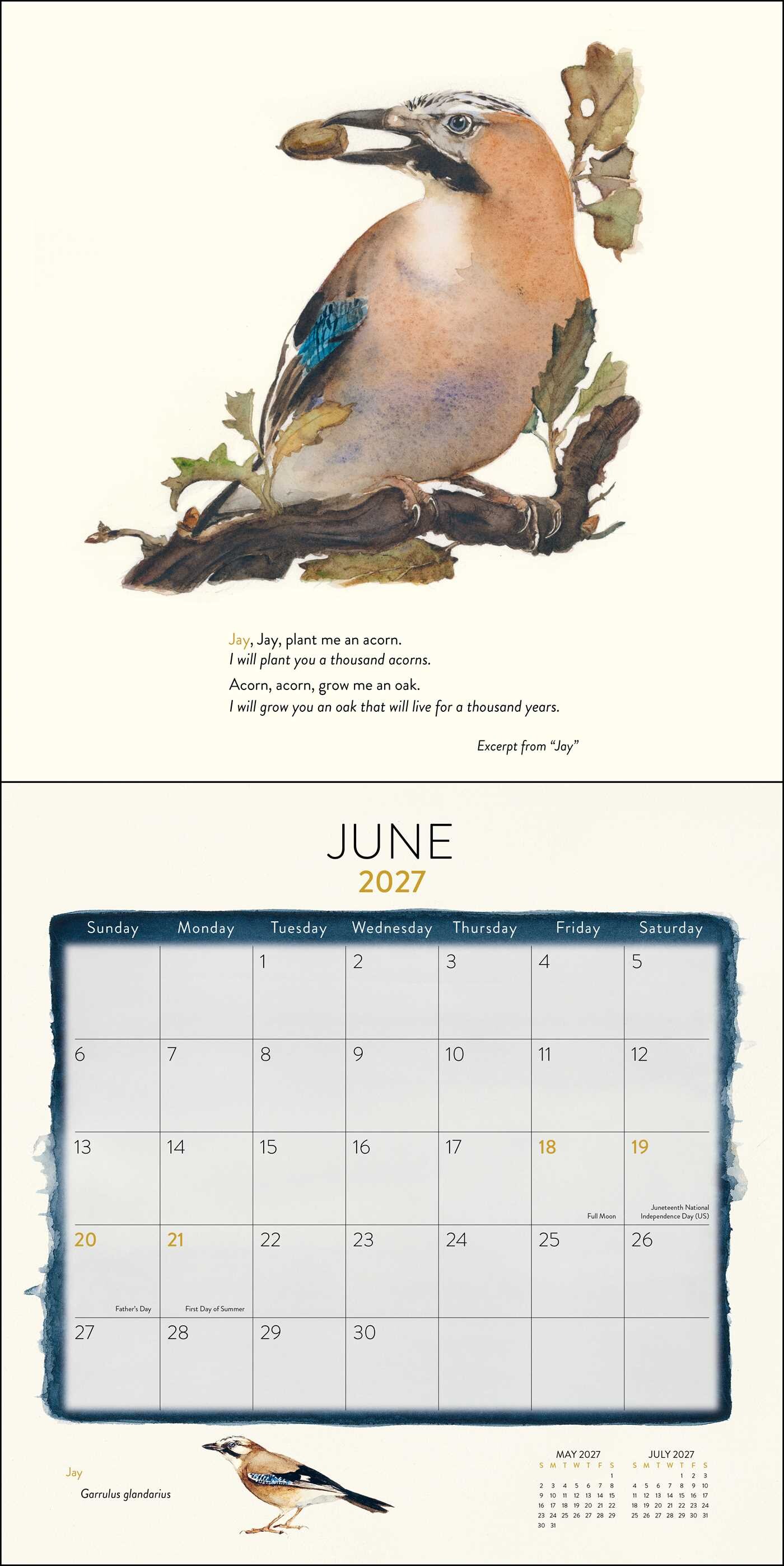 Lost Spells 2027 Wall Calendar