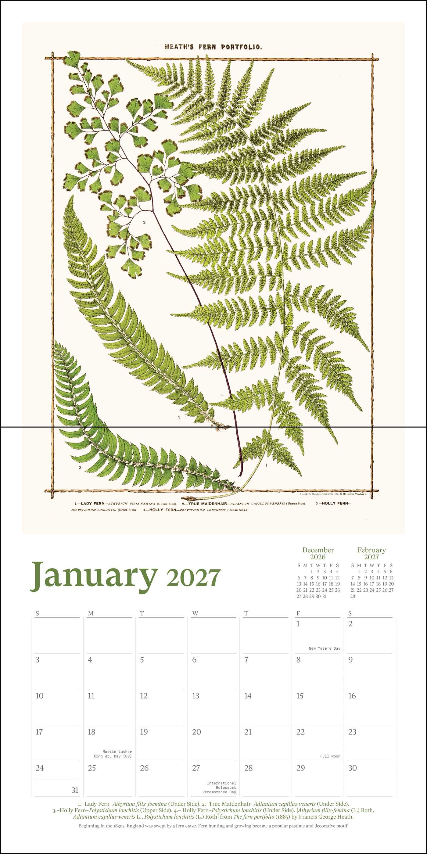New York Botanical Garden 2027 Wall Calendar