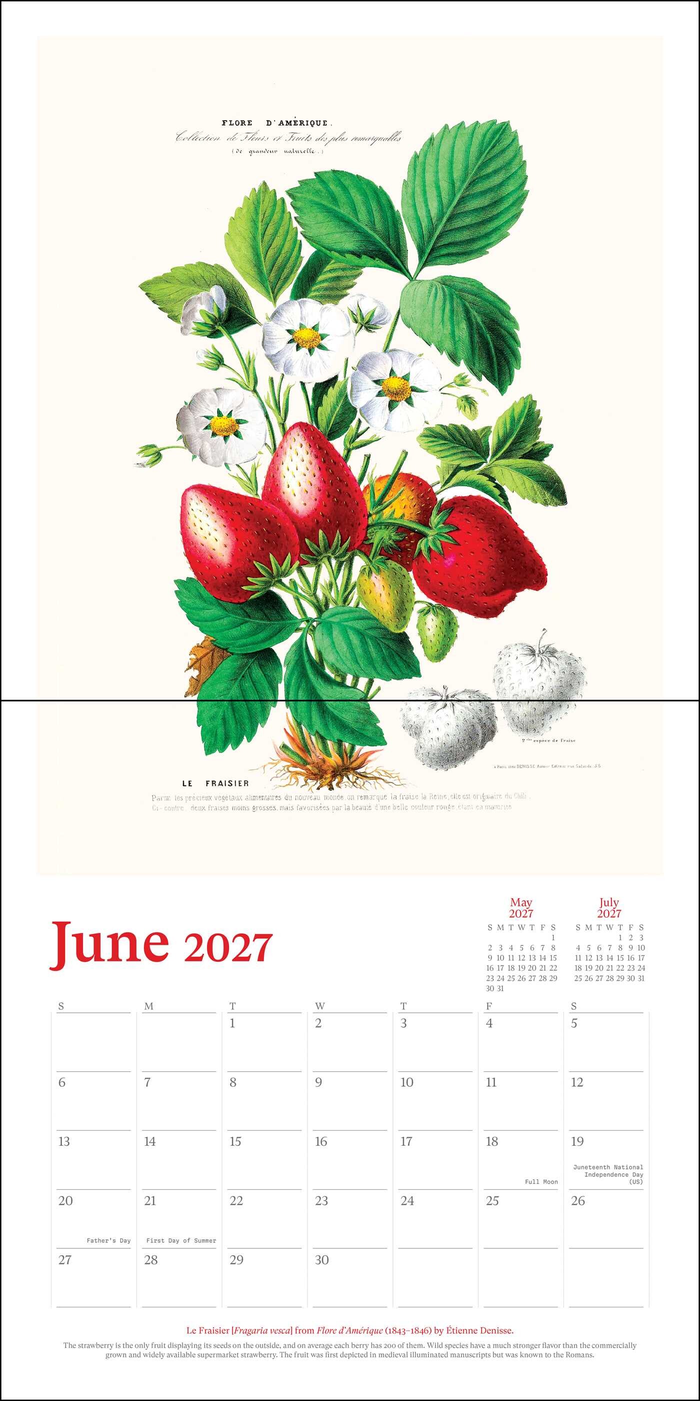 New York Botanical Garden 2027 Wall Calendar