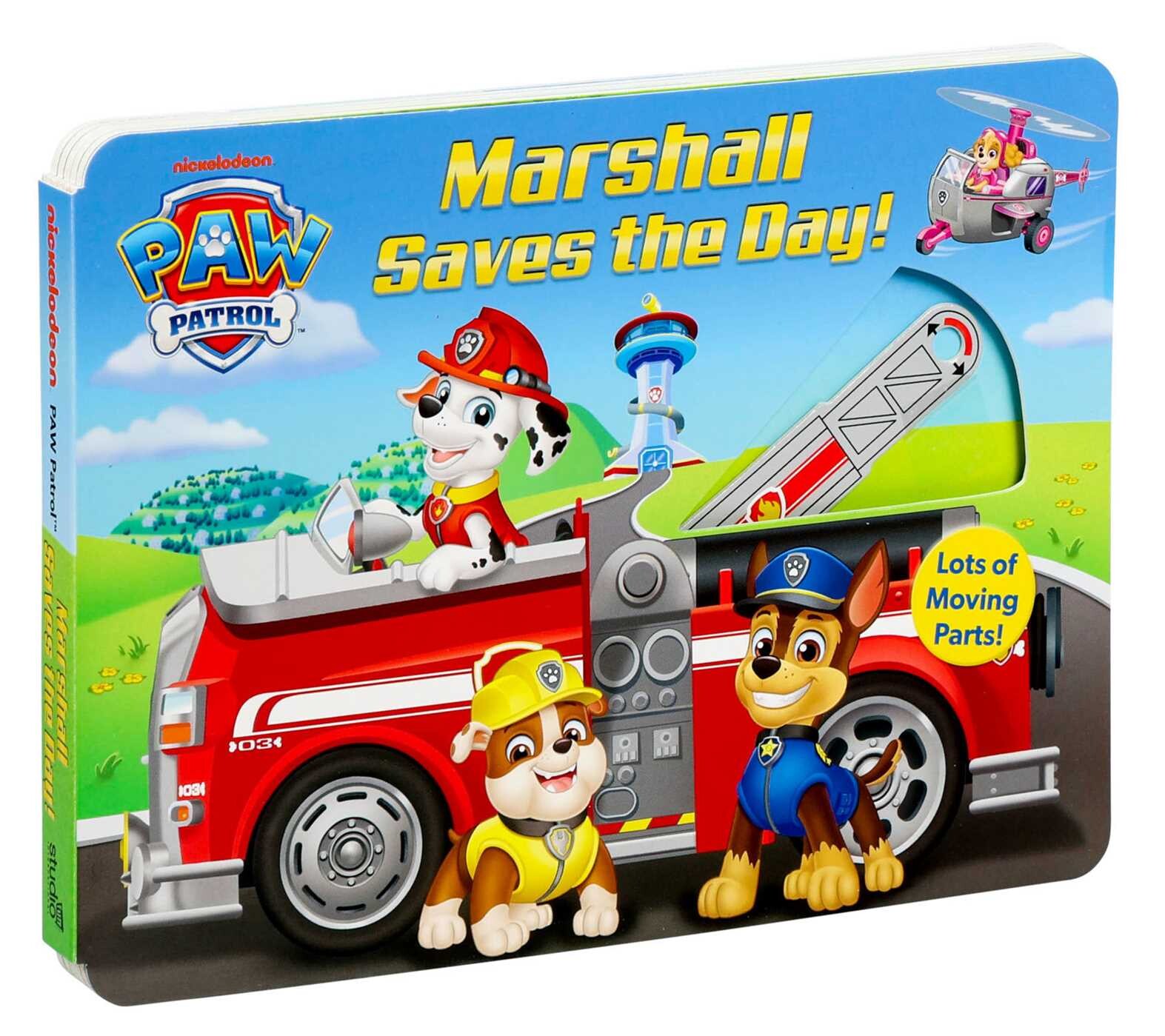 Paw Patrol: Marshall Saves the Day!
