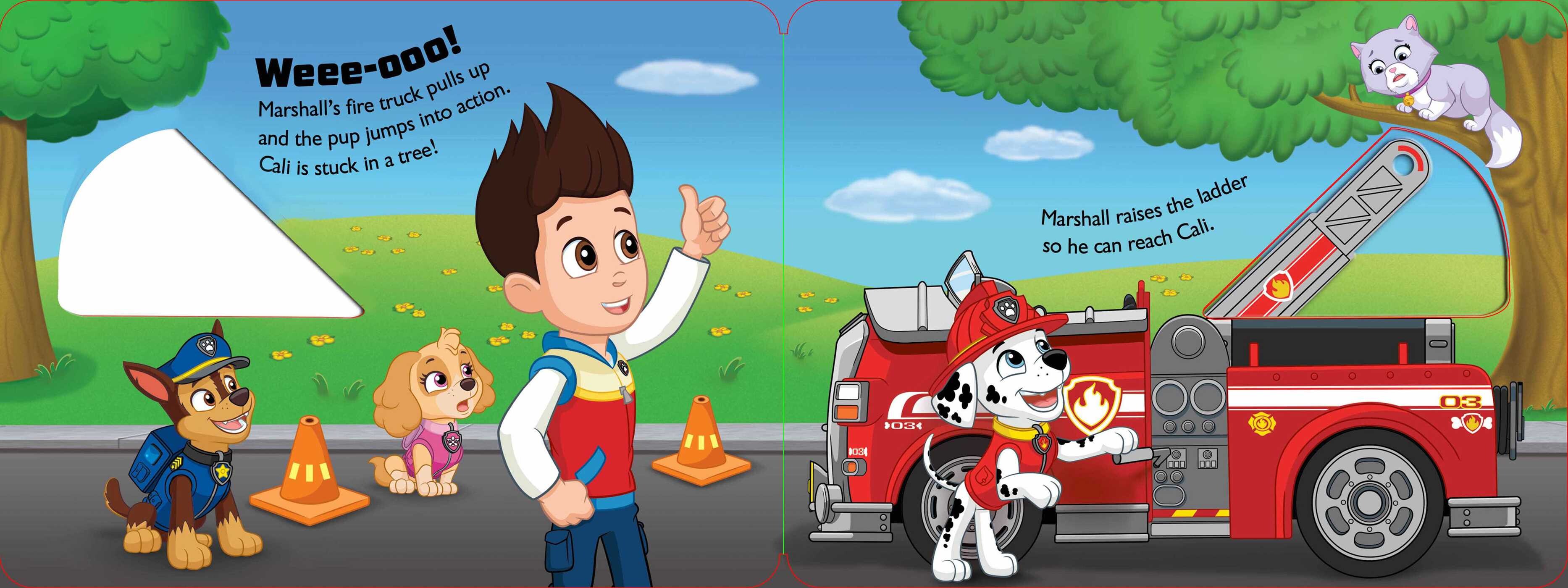 Paw Patrol: Marshall Saves the Day!