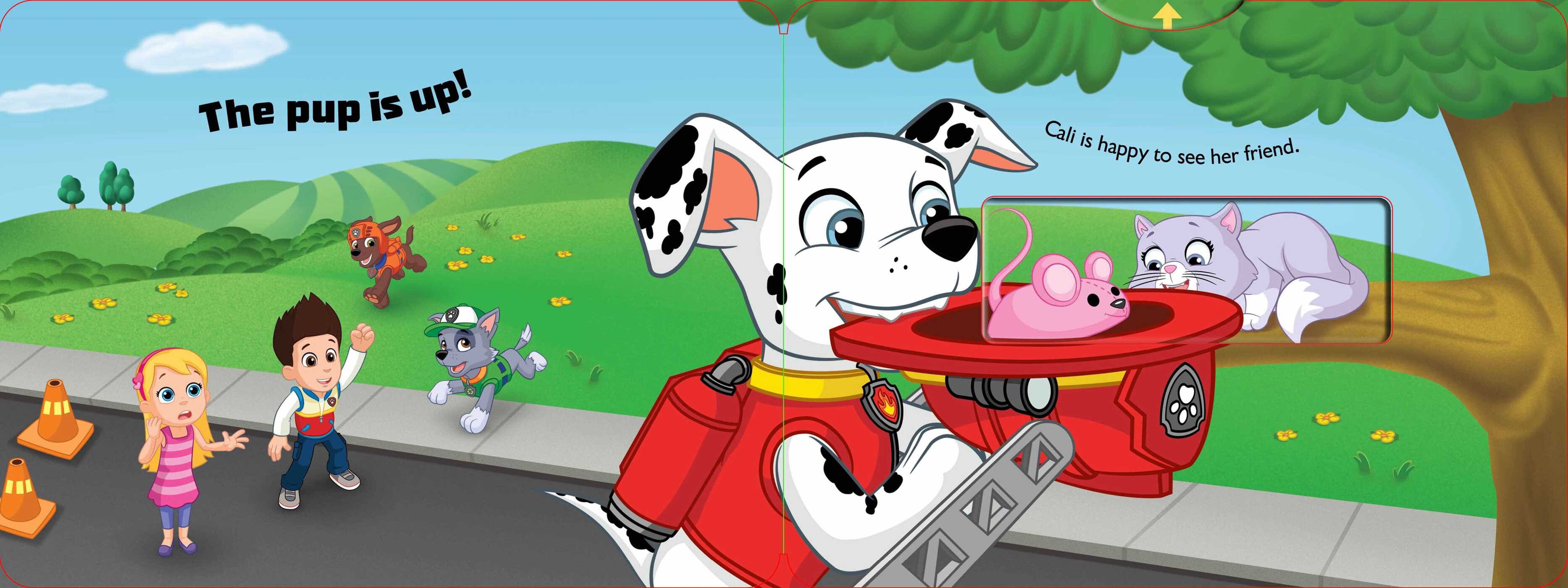 Paw Patrol: Marshall Saves the Day!