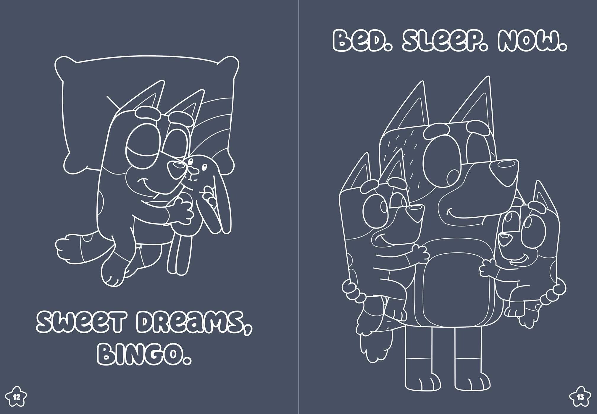 Bluey: Sweet Dreams, Bluey