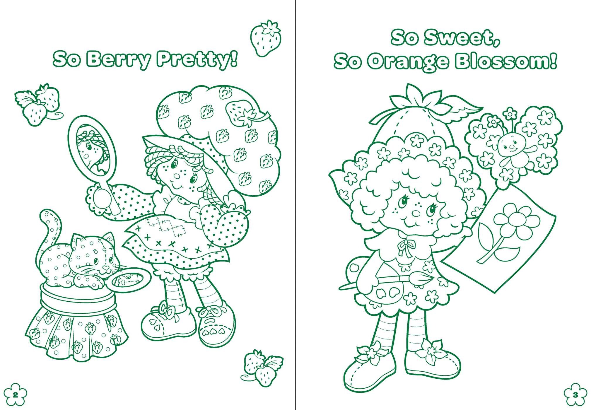 Strawberry Shortcake: Berry Good Friends!