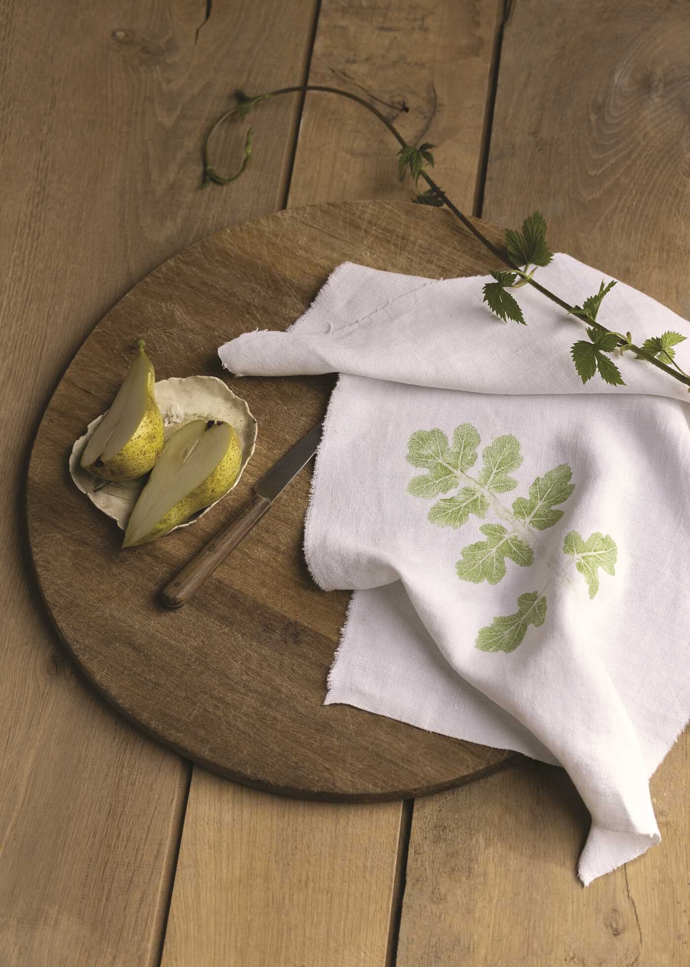 Art of Tataki Zomé: Botanical Fabric Printing