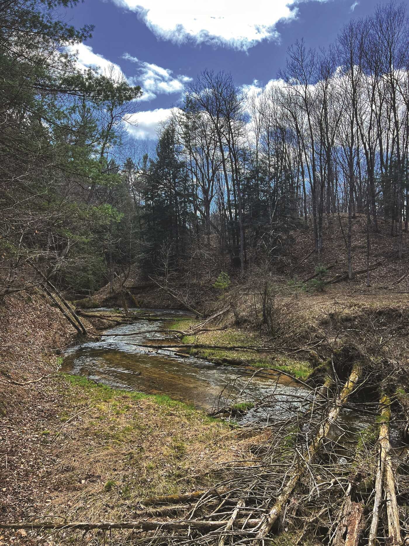 Fly Fishing Guide to Michigan