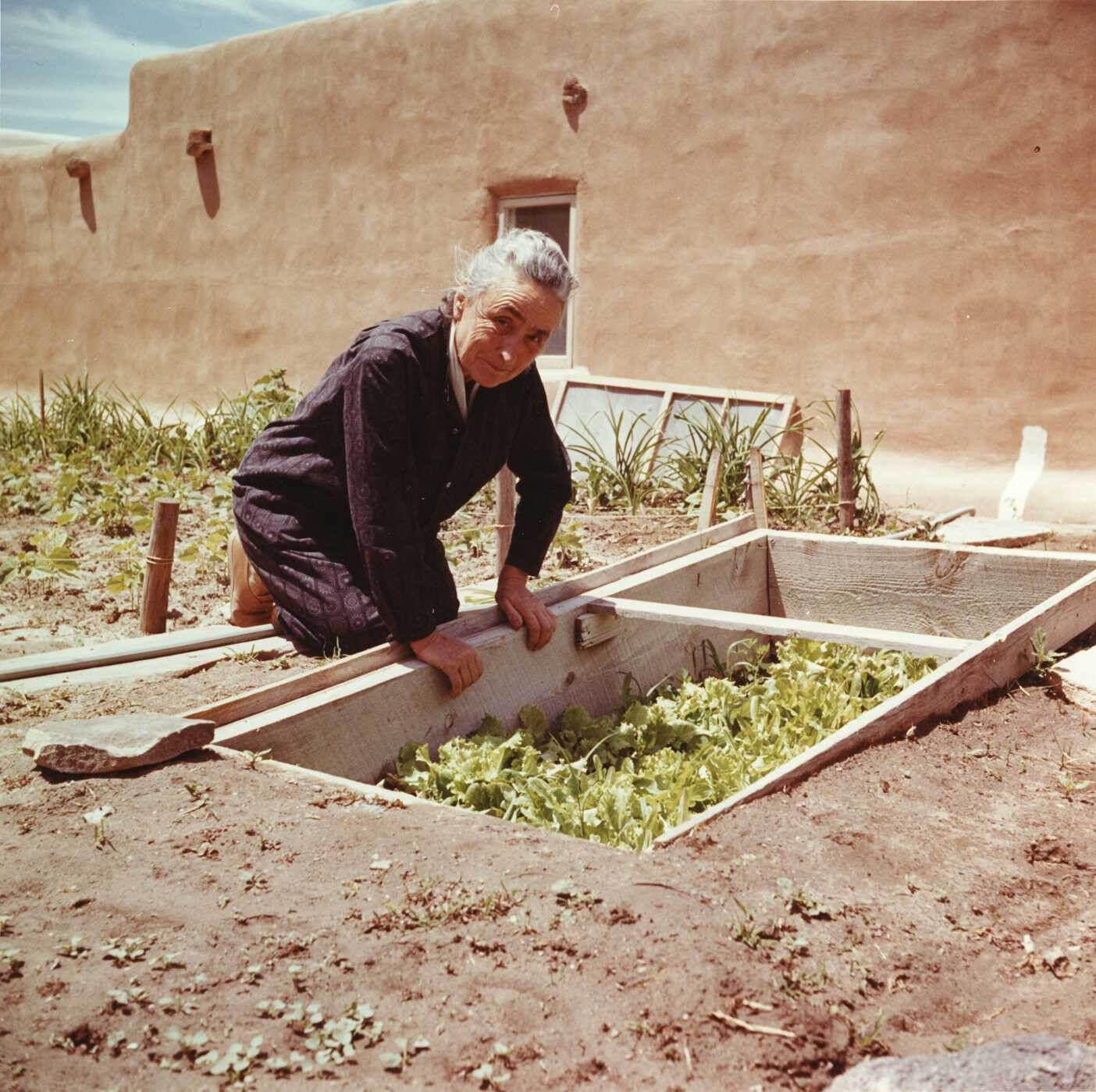 Gardens of the Taos Artists
