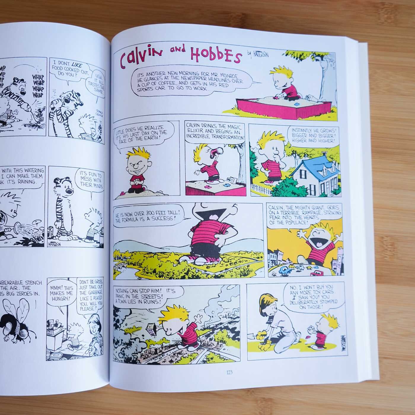Essential Calvin and Hobbes