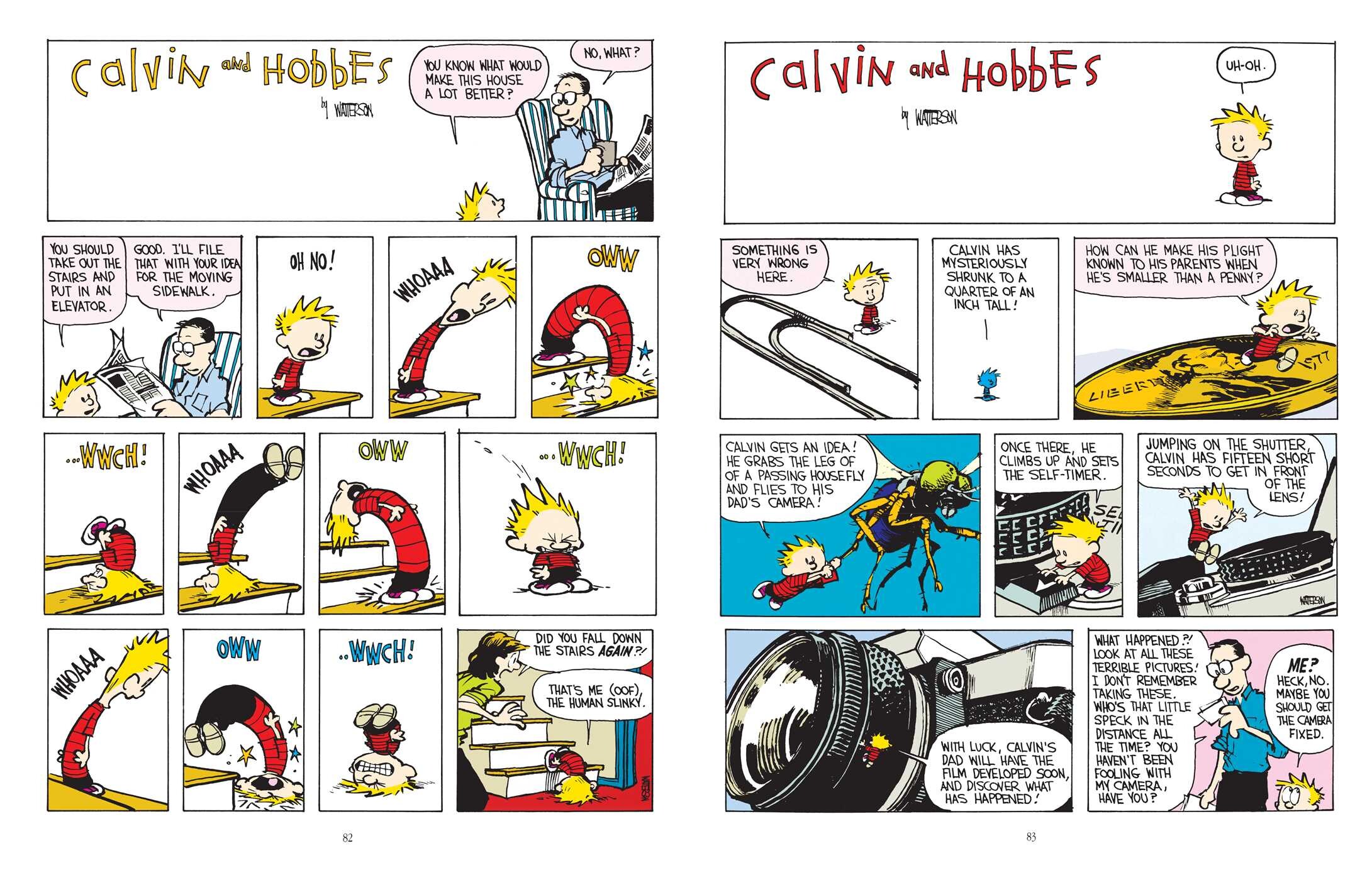 Calvin and Hobbes Lazy Sunday Book