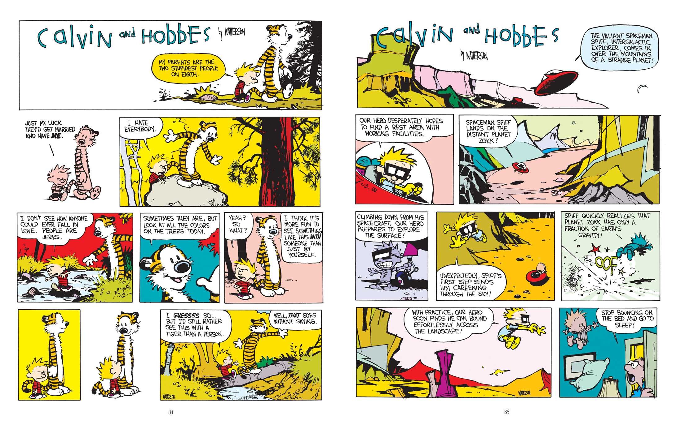 Calvin and Hobbes Lazy Sunday Book