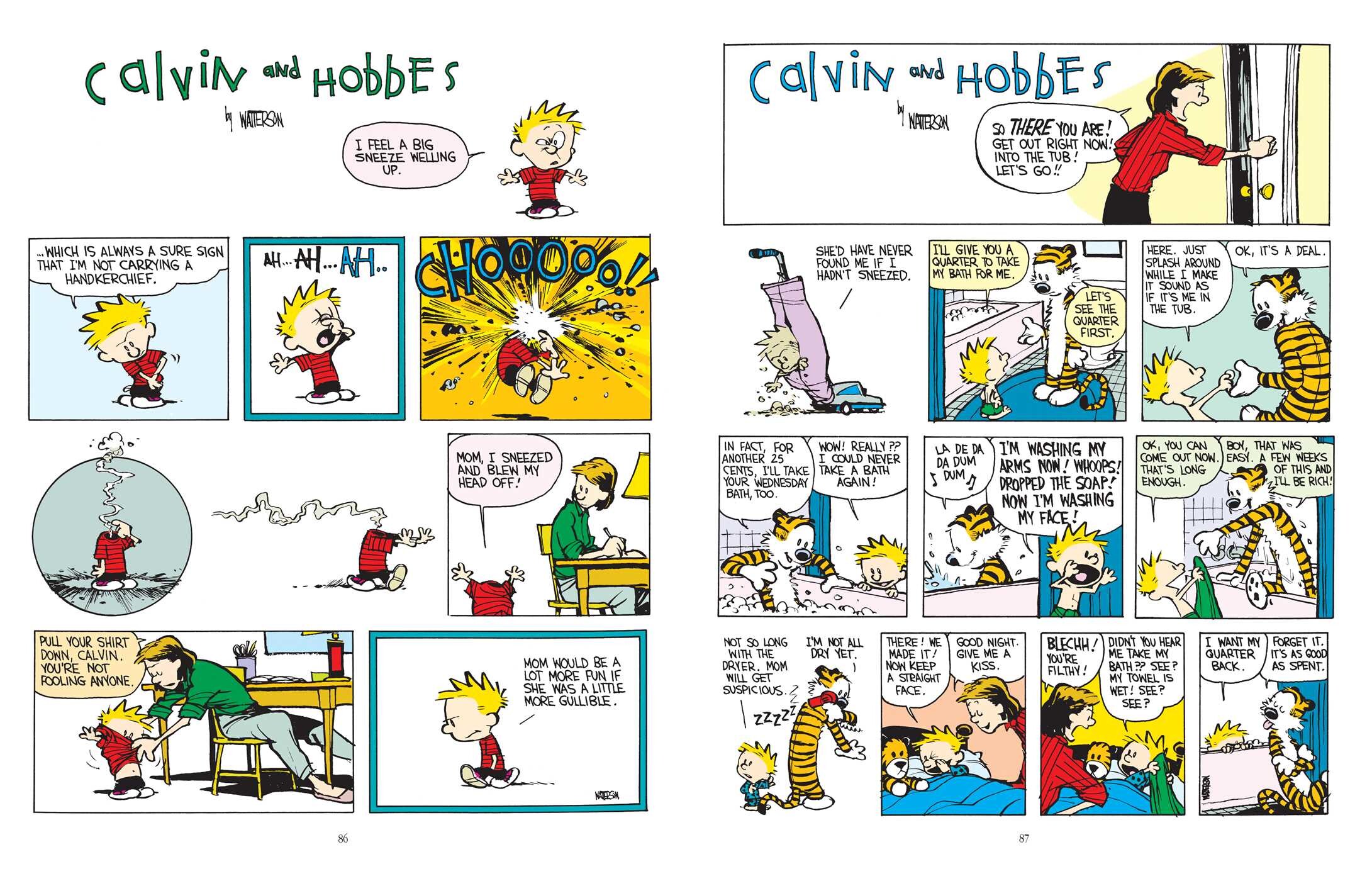 Calvin and Hobbes Lazy Sunday Book