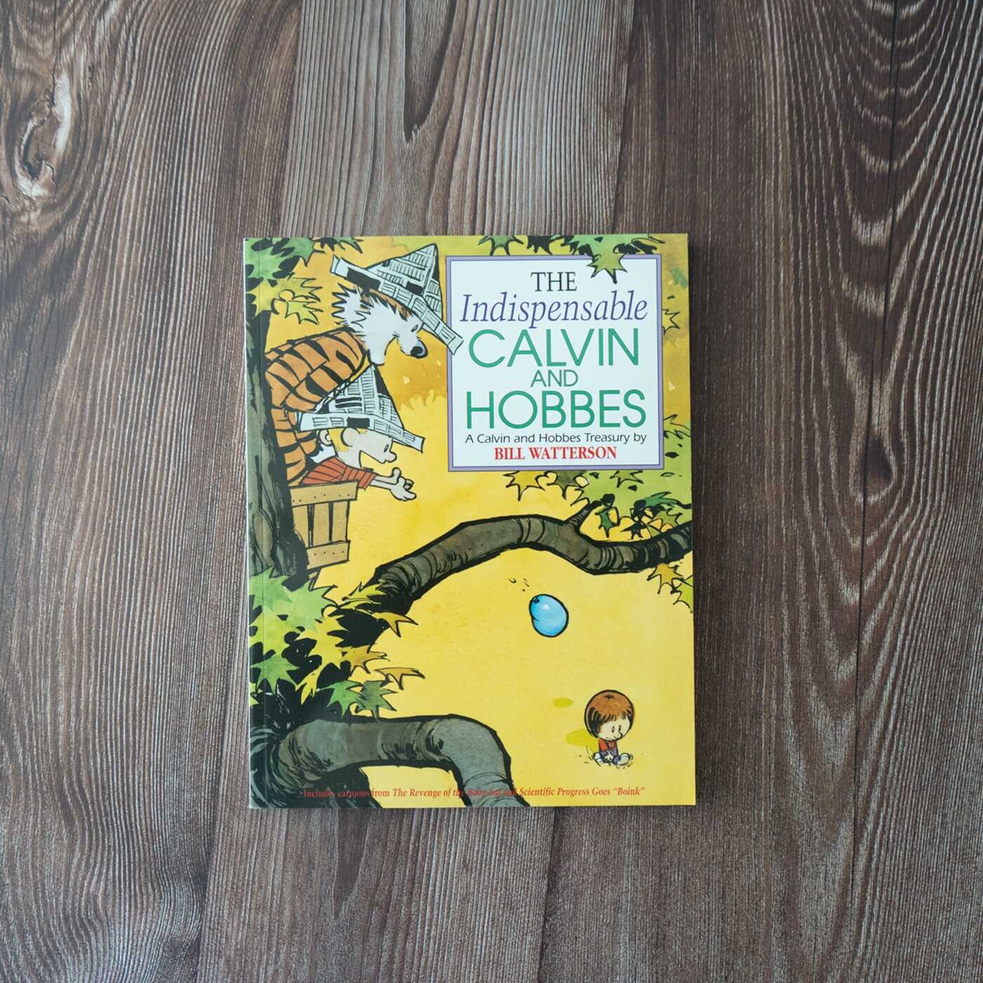Indispensable Calvin and Hobbes