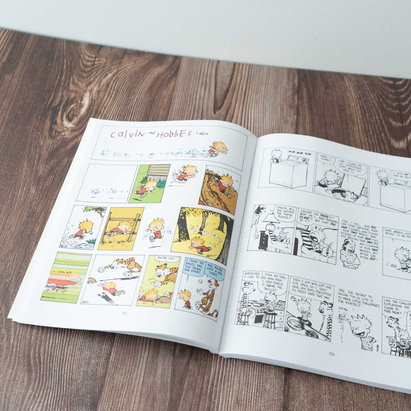Indispensable Calvin and Hobbes