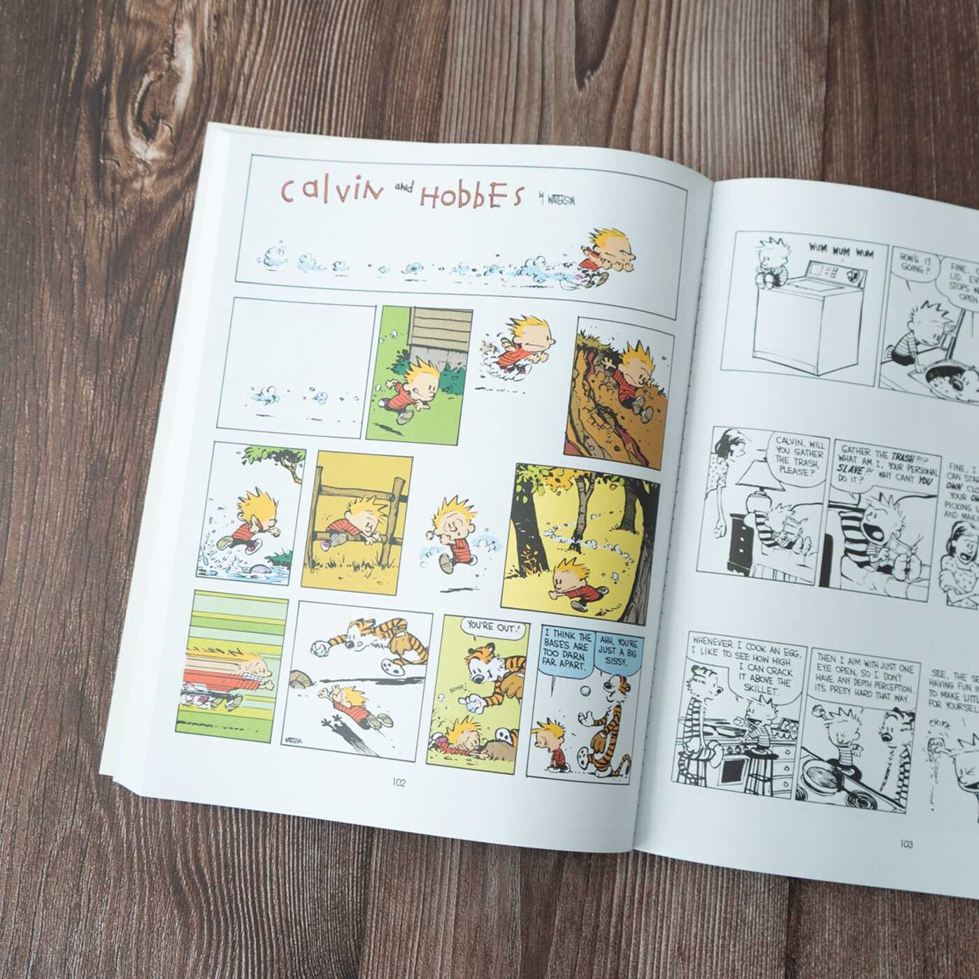 Indispensable Calvin and Hobbes