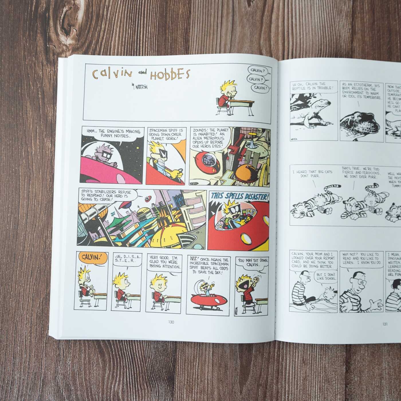 Indispensable Calvin and Hobbes