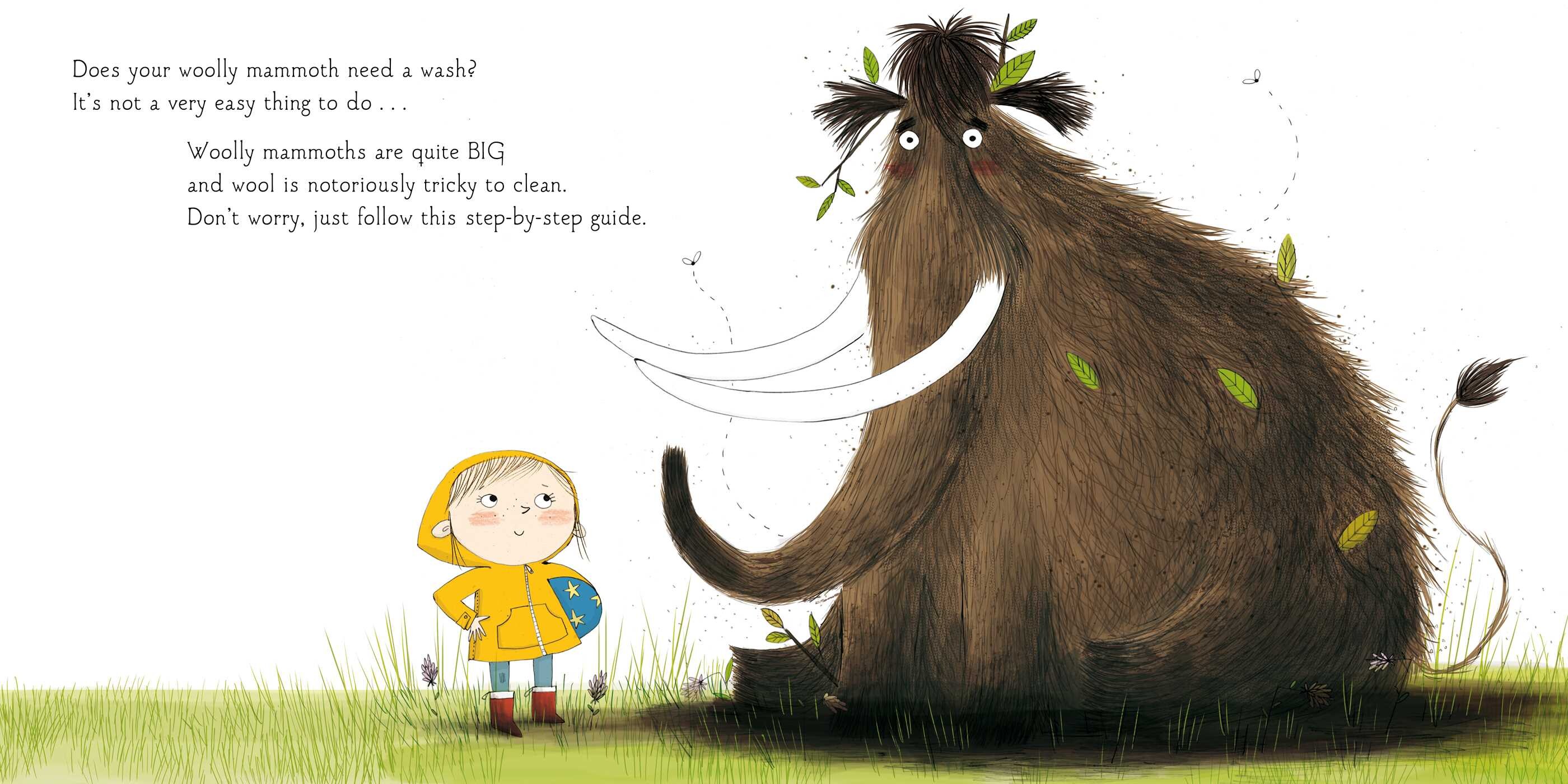 How to Wash a Woolly Mammoth