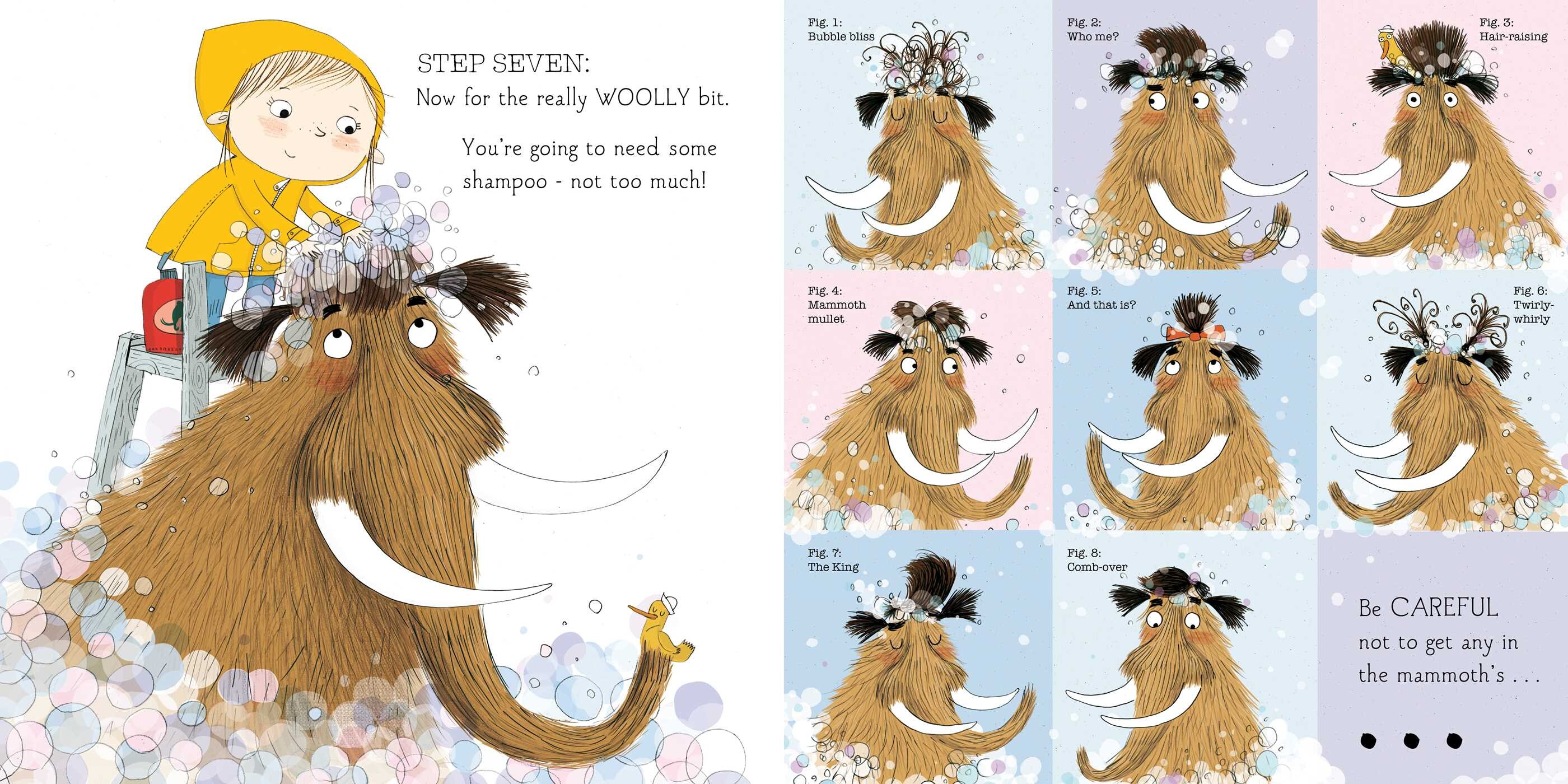 How to Wash a Woolly Mammoth
