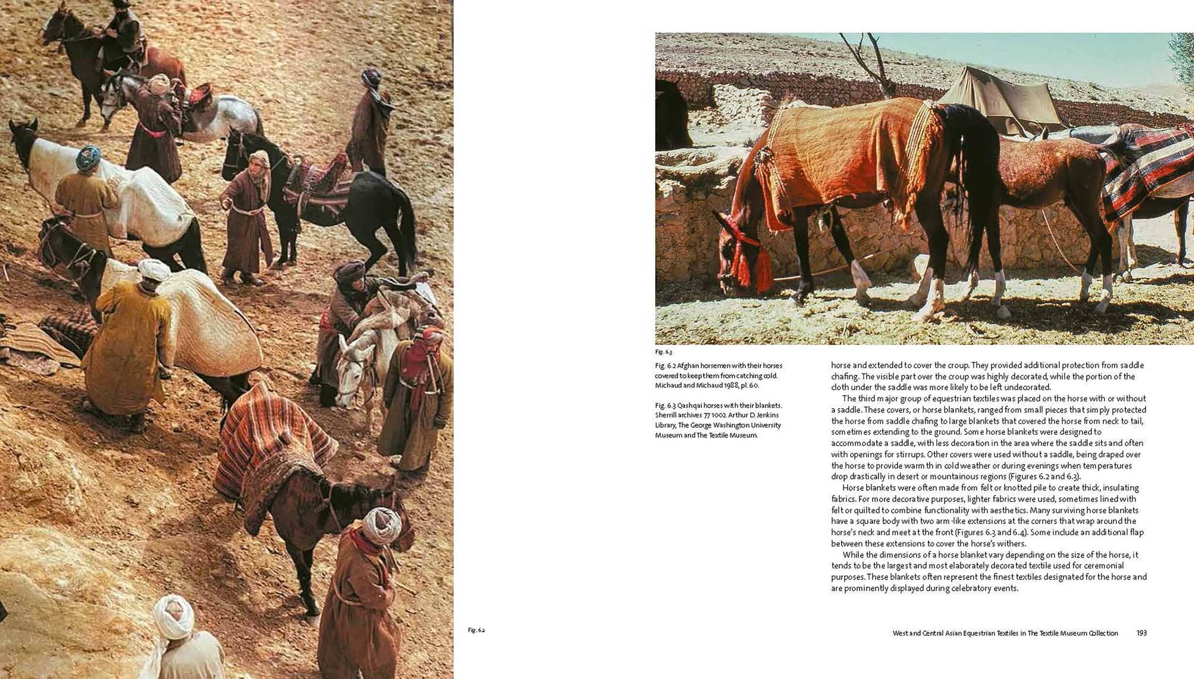 Adorning the Horse