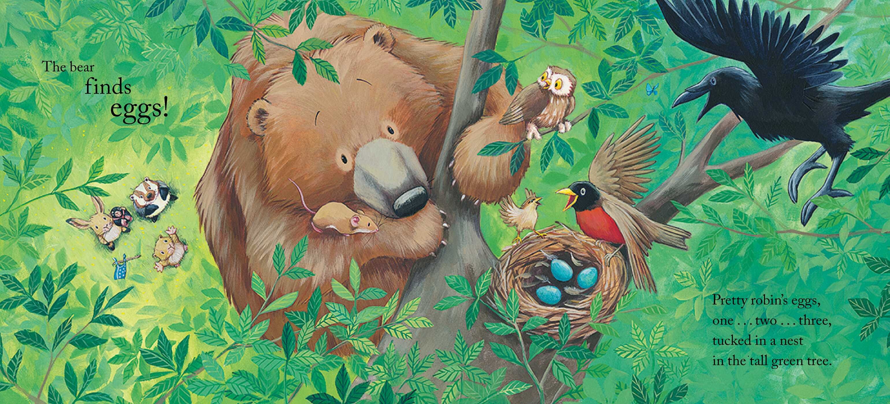 Bear Finds Eggs
