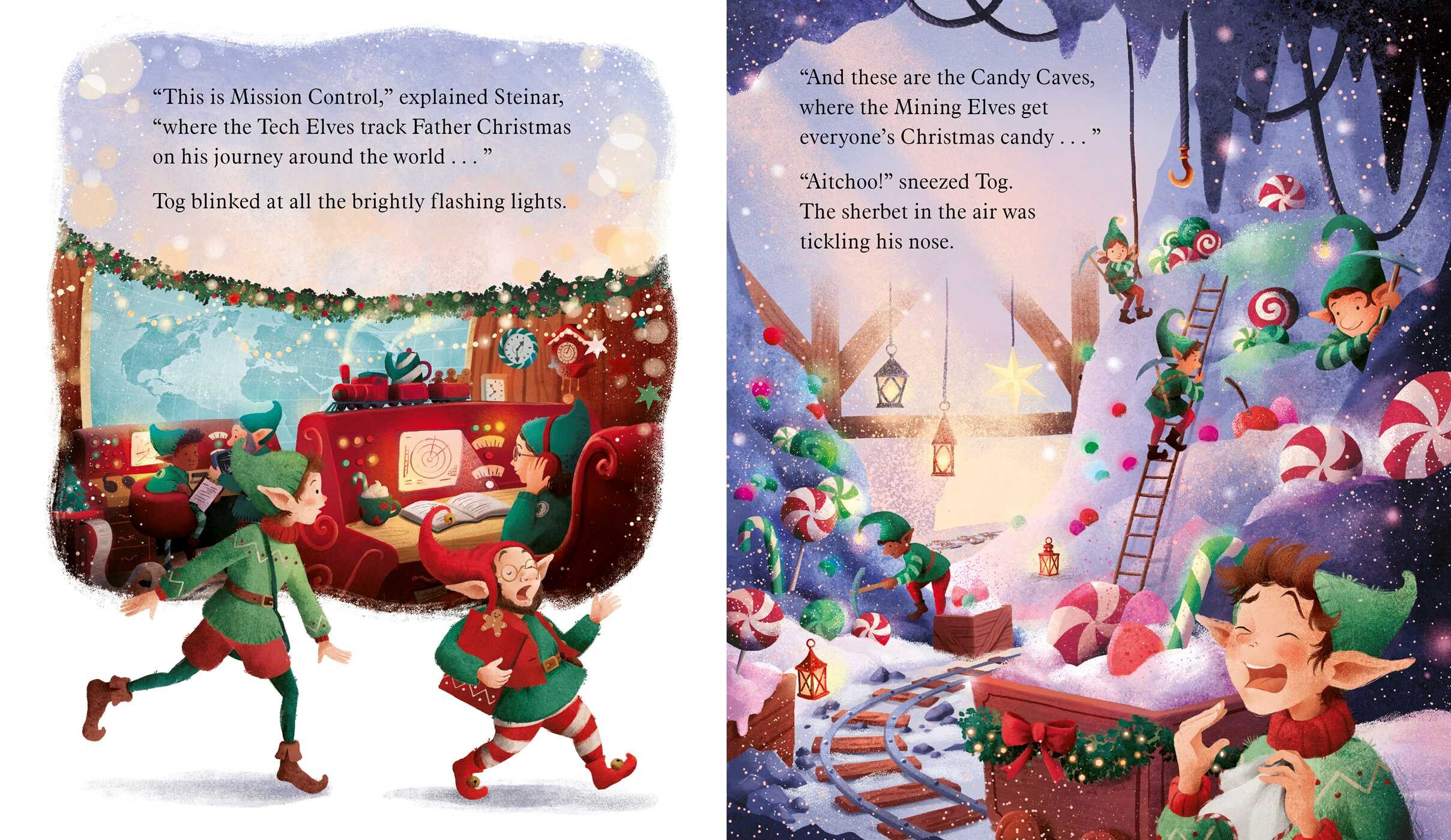 Elf's Christmas Wish