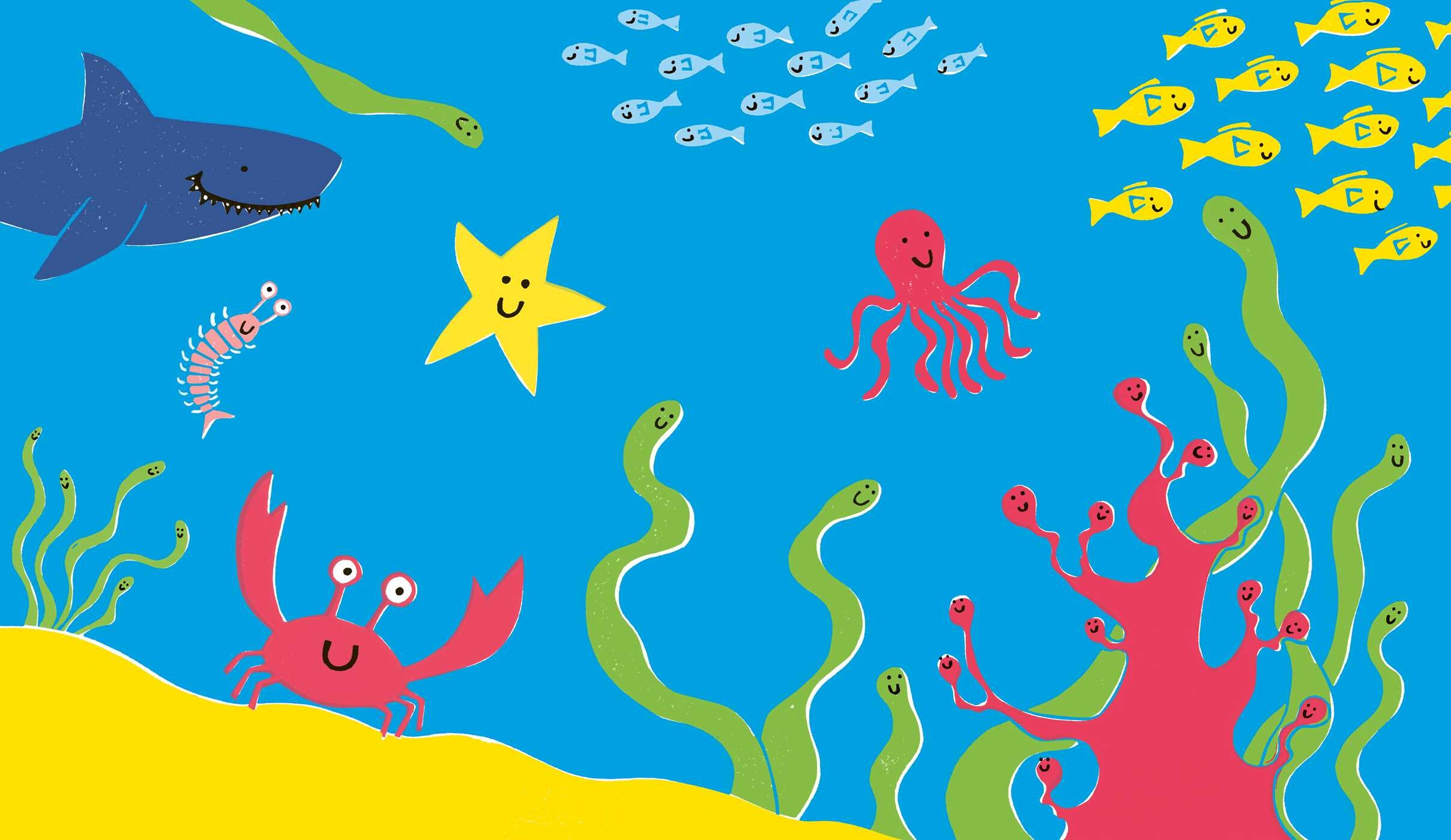Seahorse is Furious