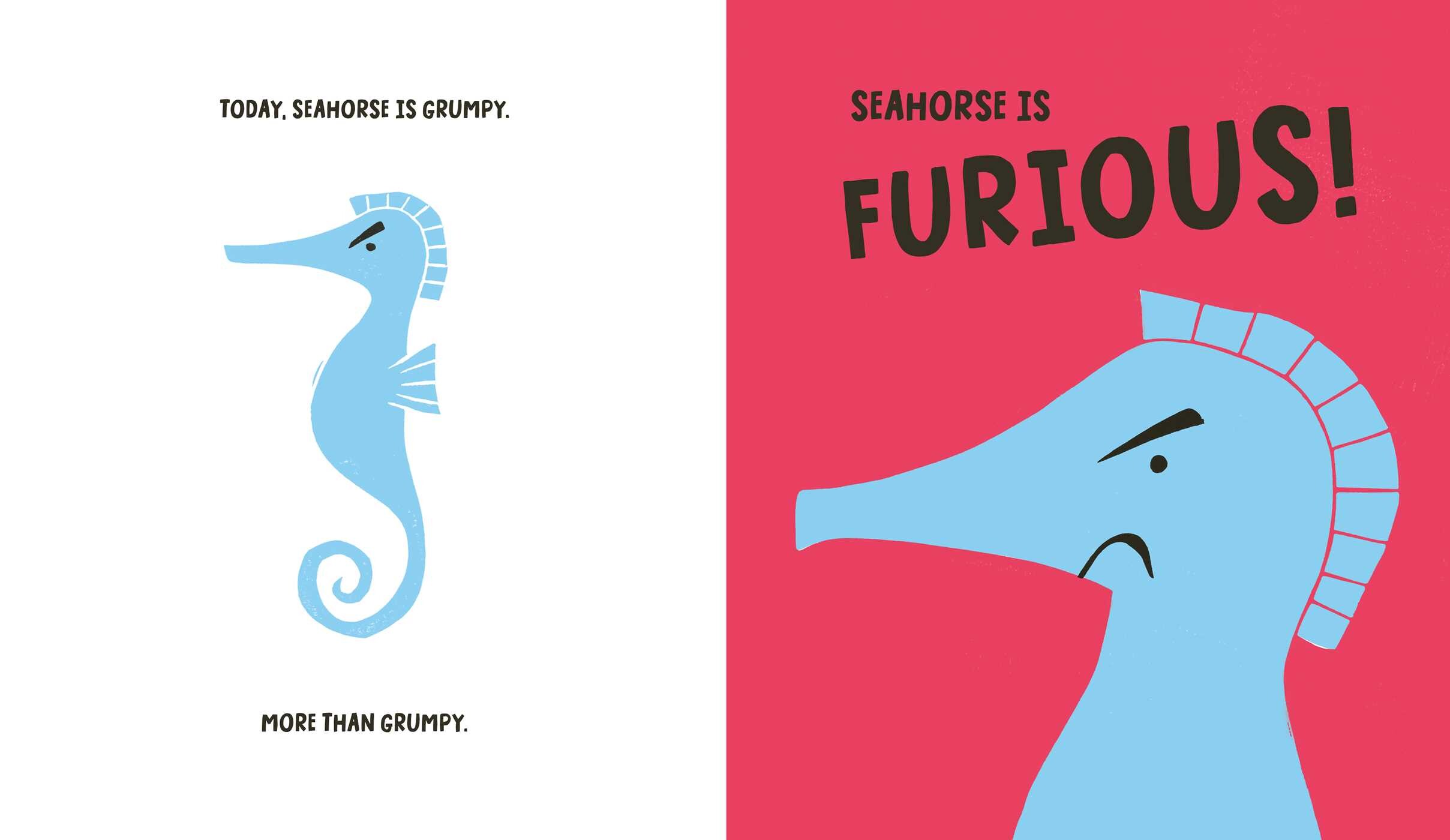 Seahorse is Furious